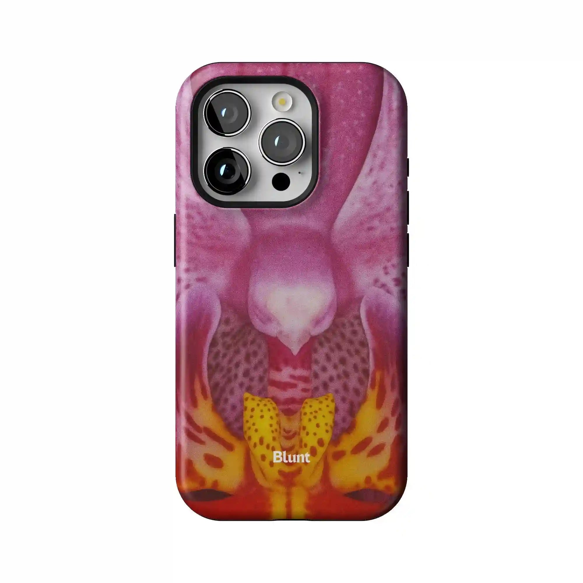 bluntcasesonline.com