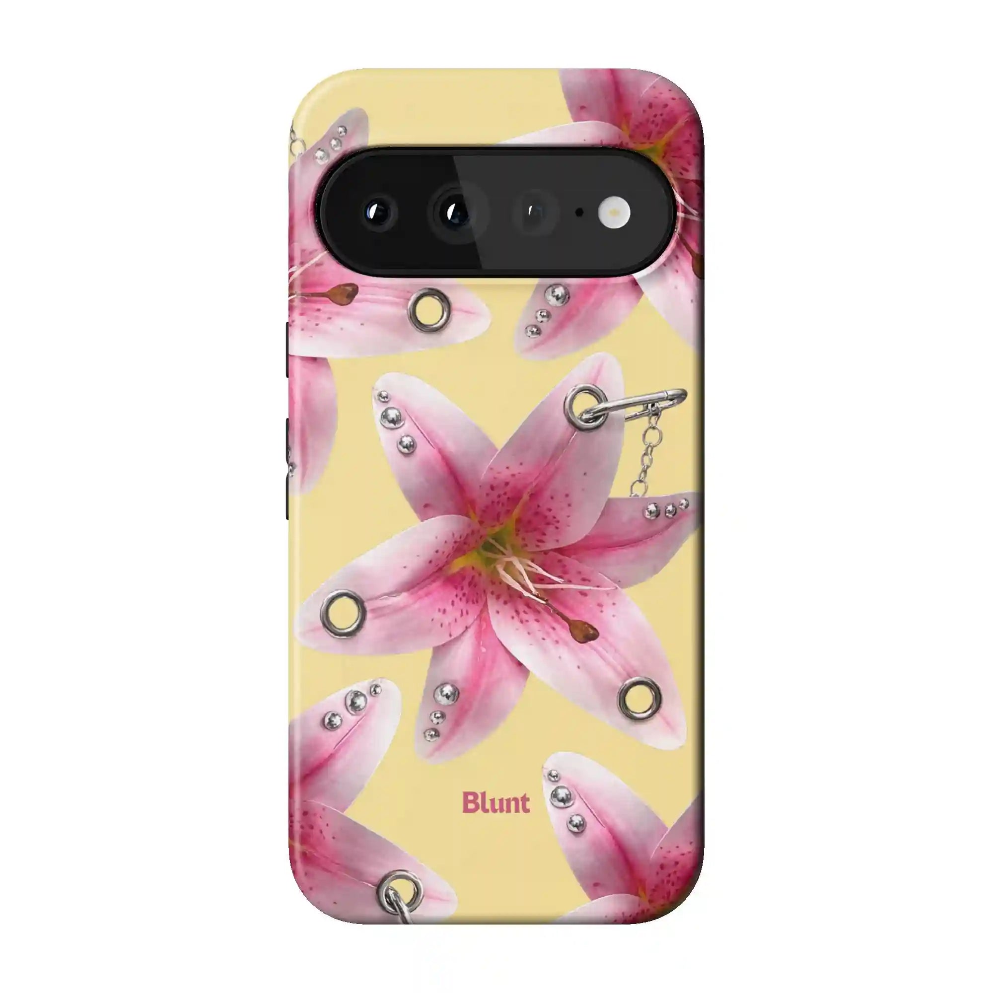 bluntcasesonline.com