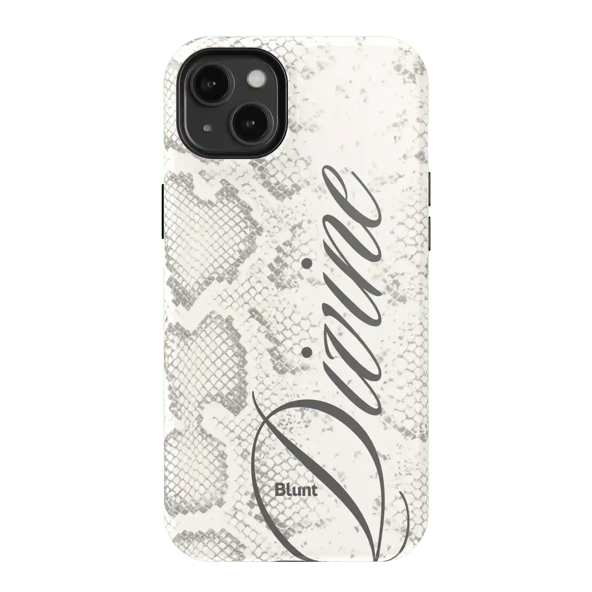 bluntcasesonline.com
