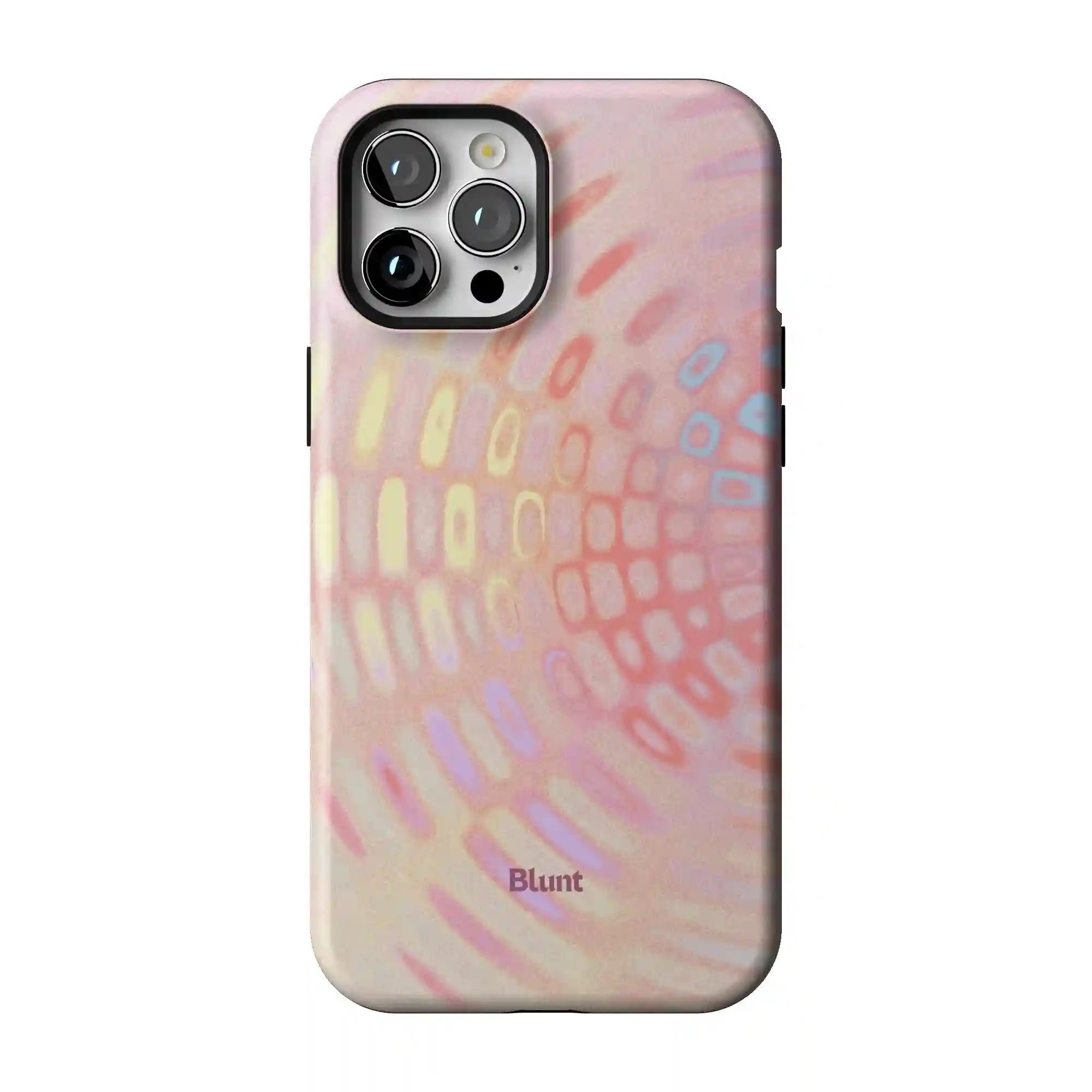 bluntcasesonline.com