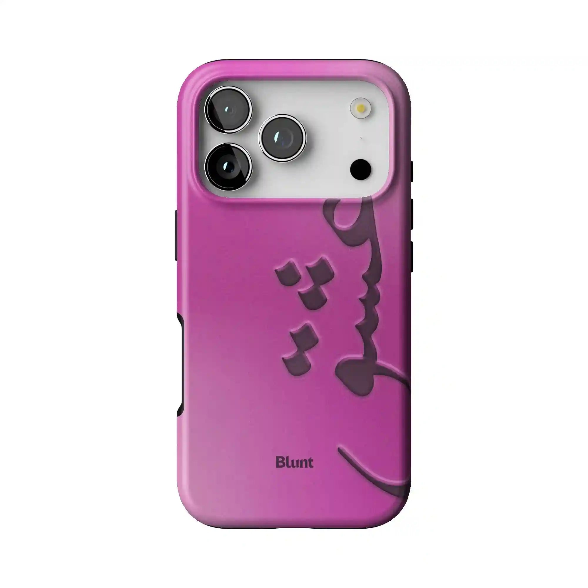 bluntcasesonline.com