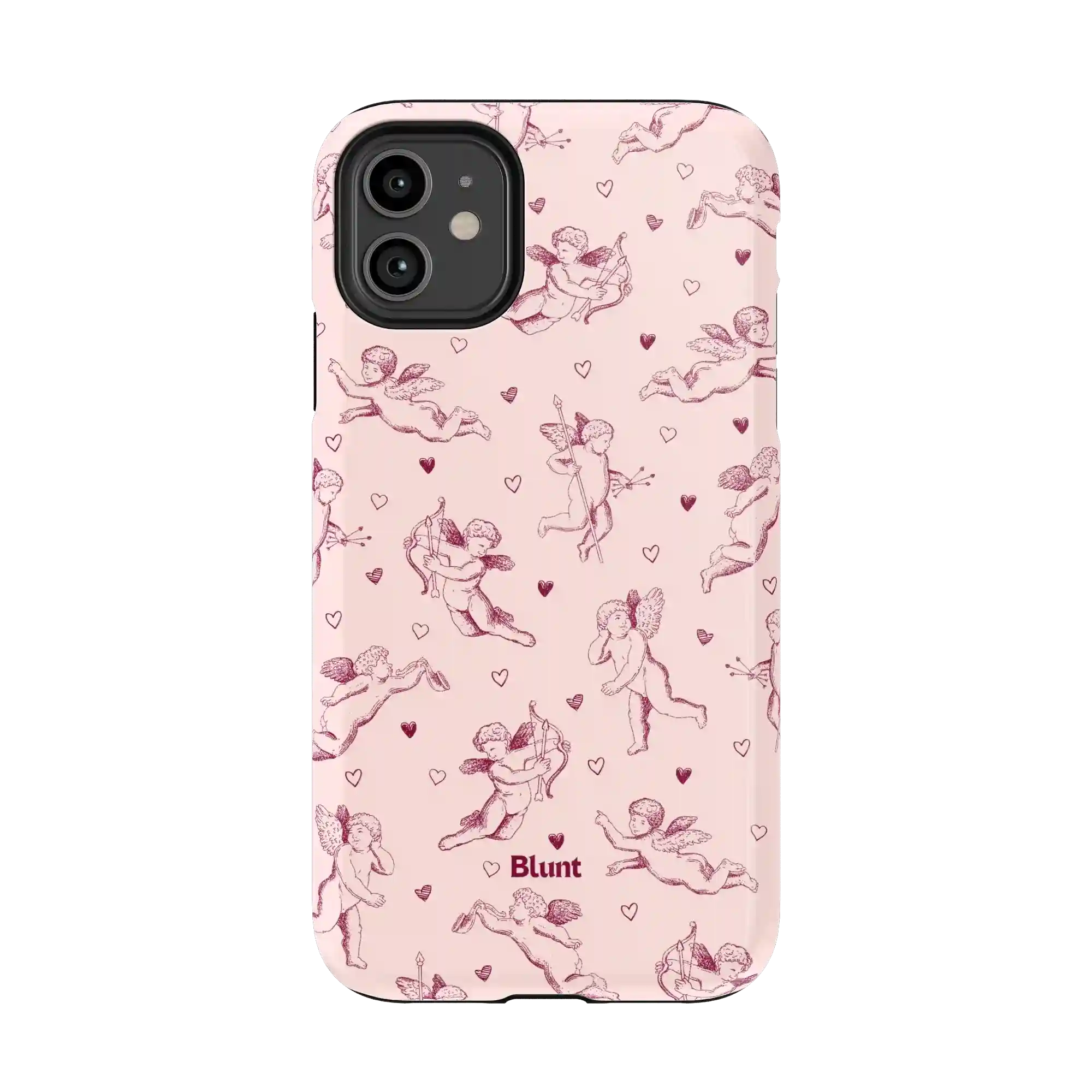 bluntcasesonline.com