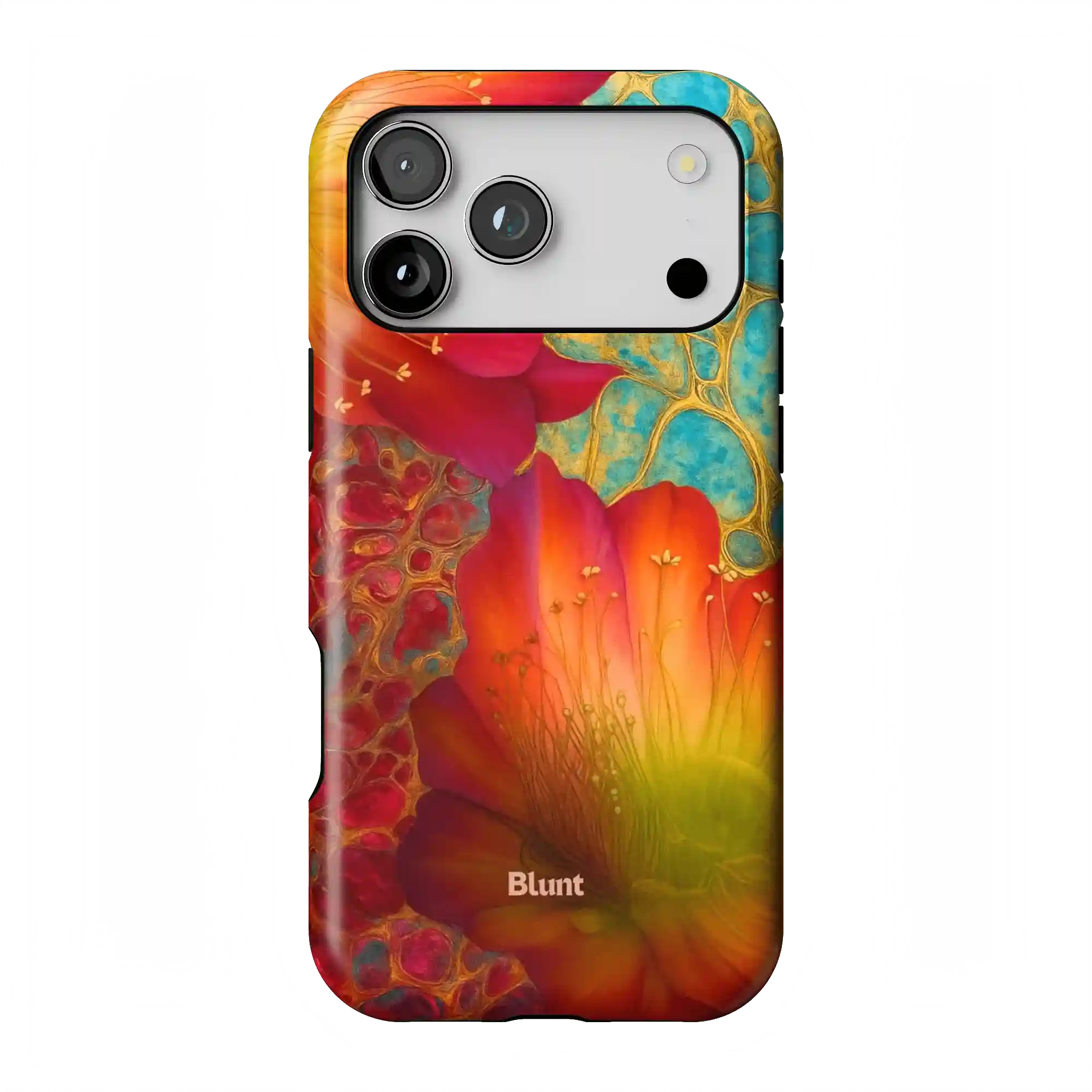 bluntcasesonline.com