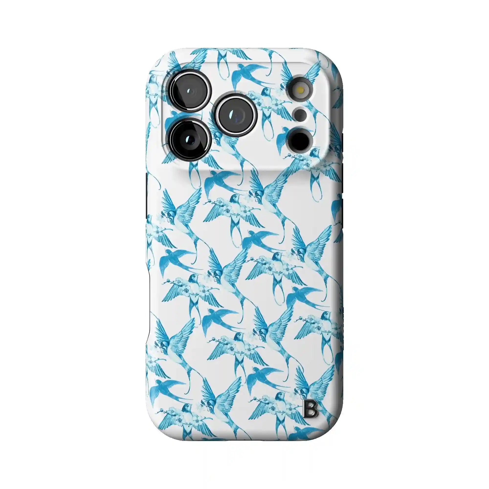 bluntcasesonline.com