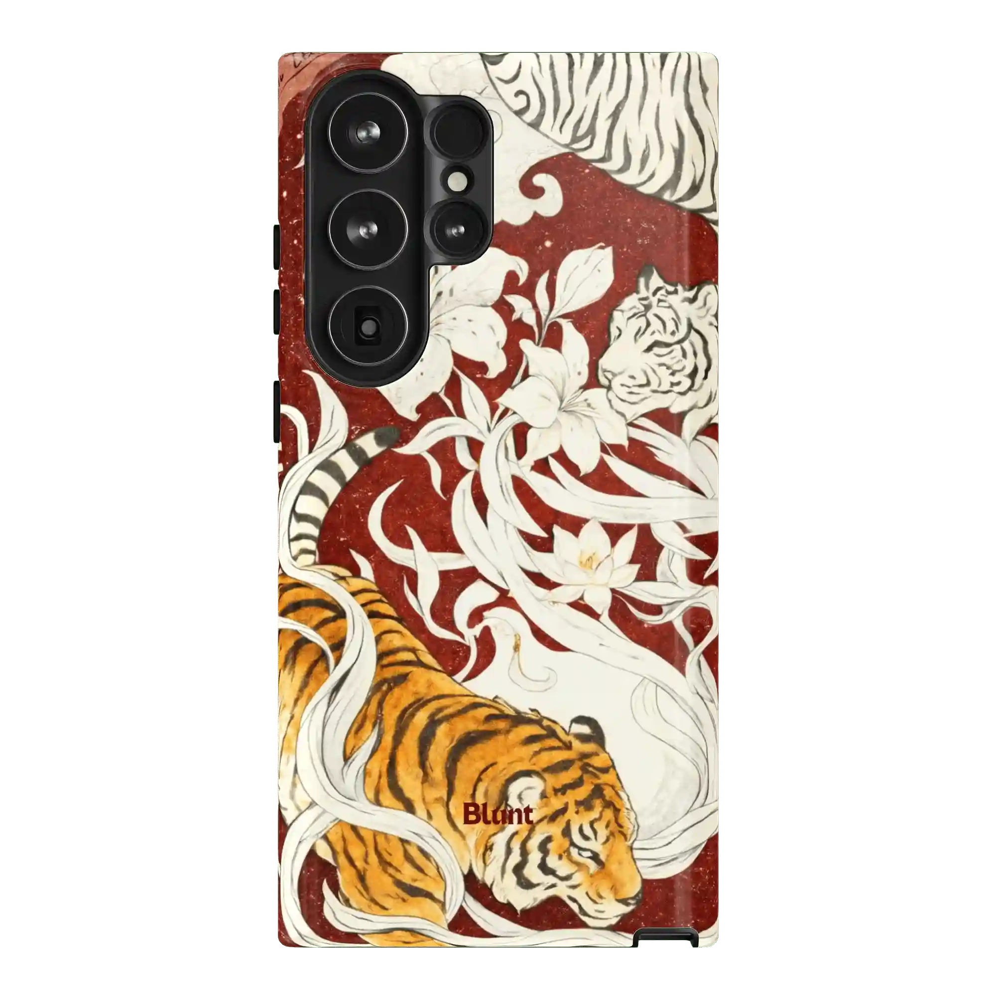 bluntcasesonline.com