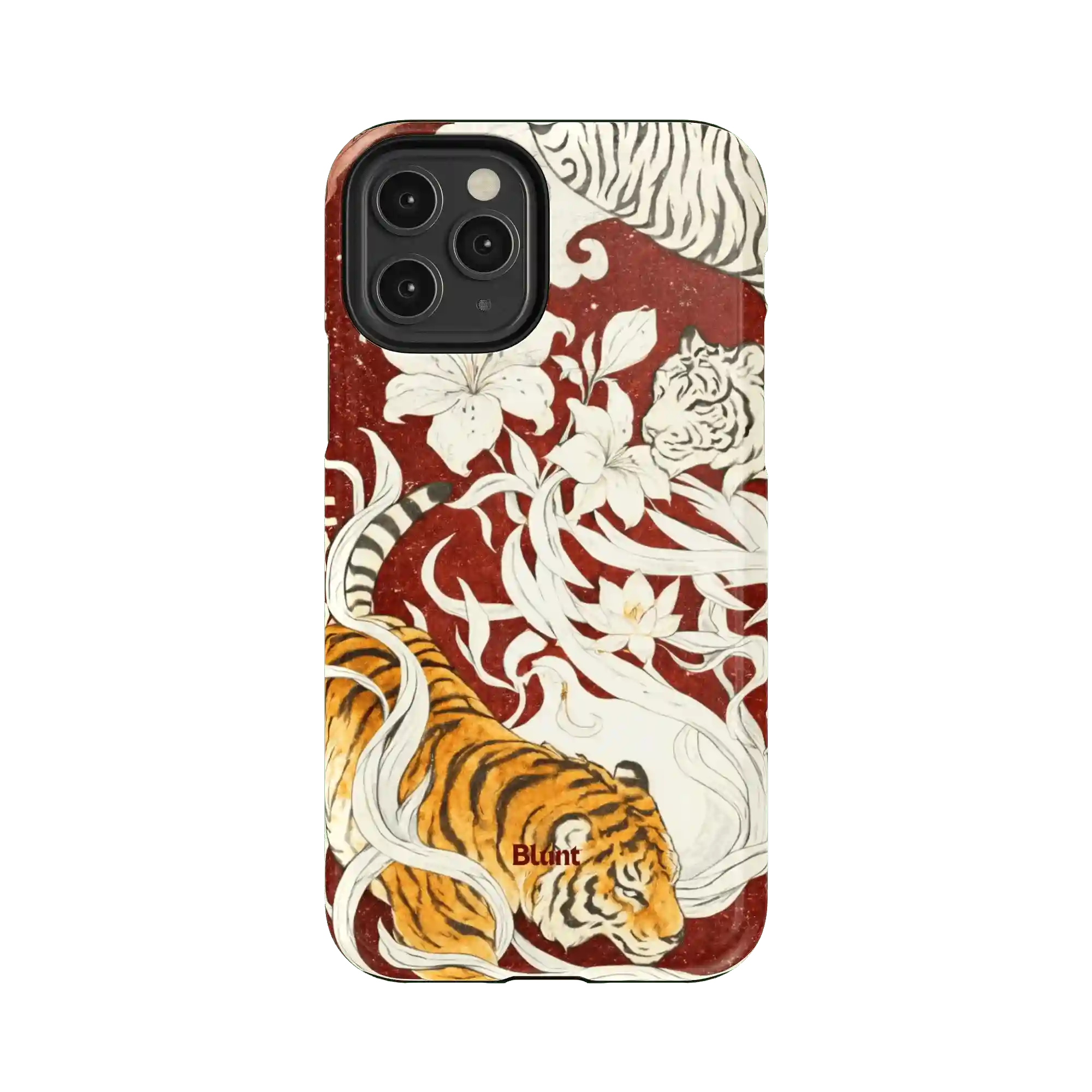 bluntcasesonline.com