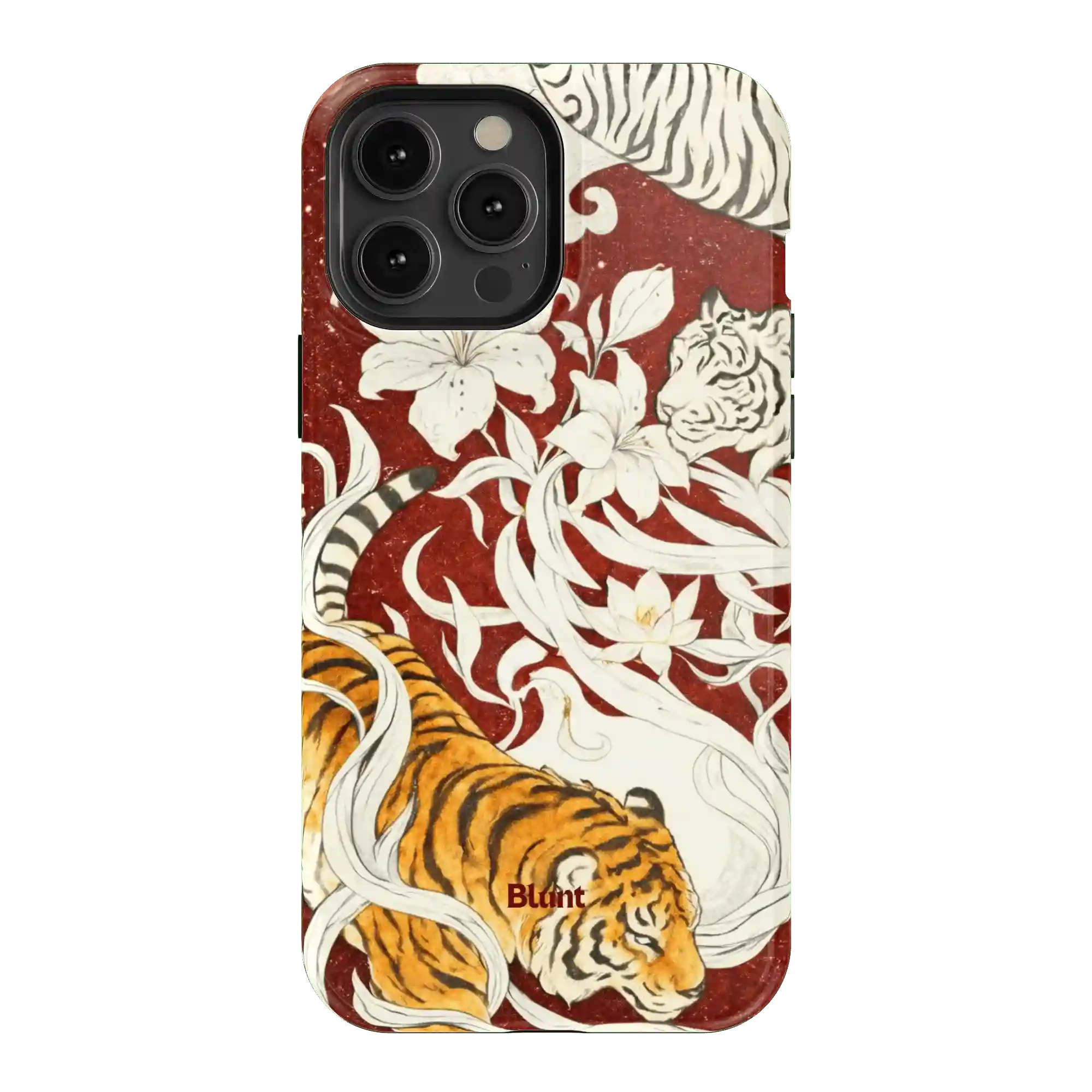 bluntcasesonline.com