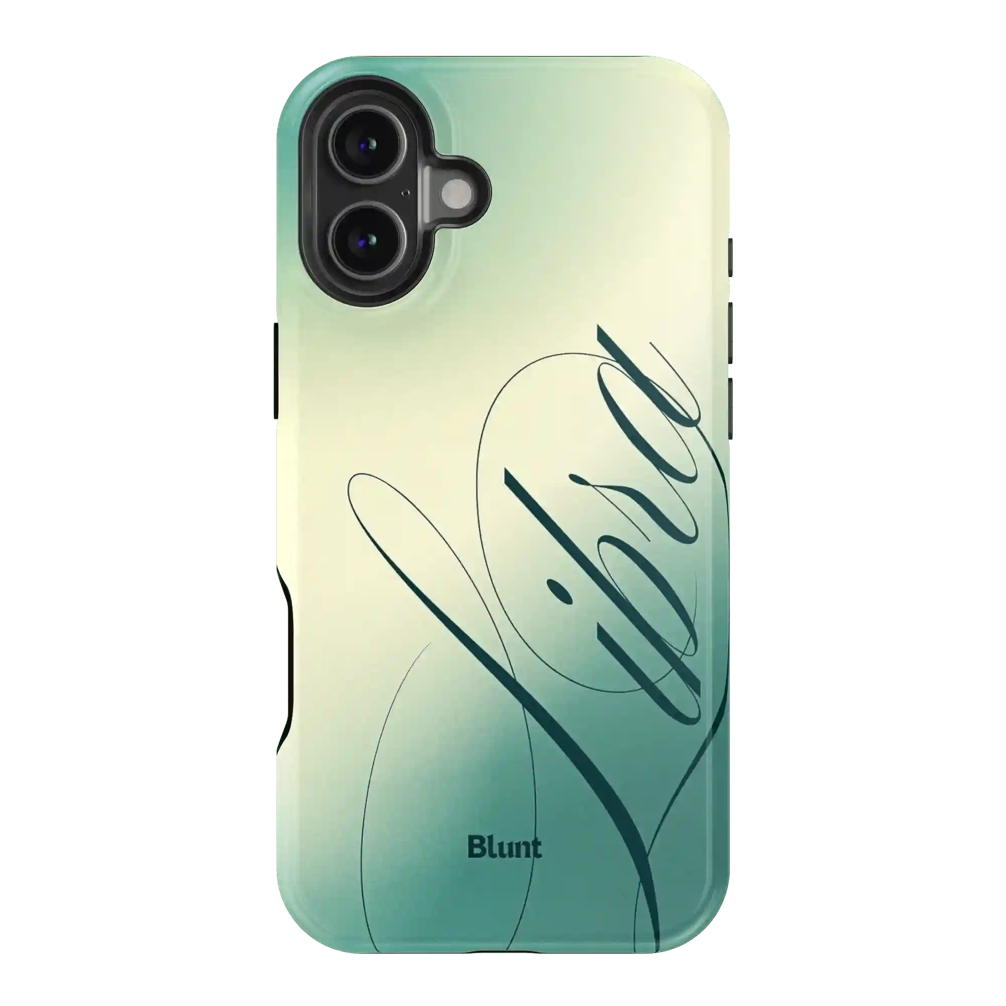 bluntcasesonline.com