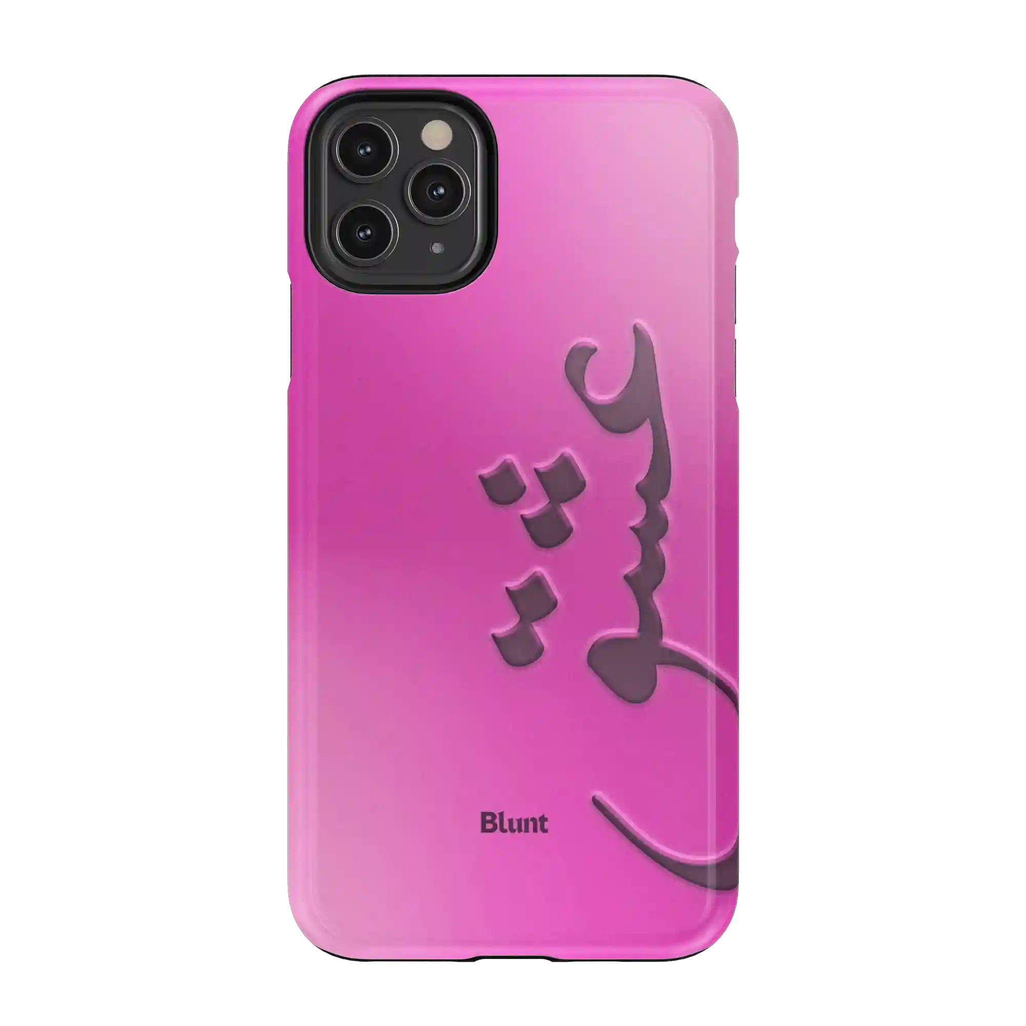 bluntcasesonline.com