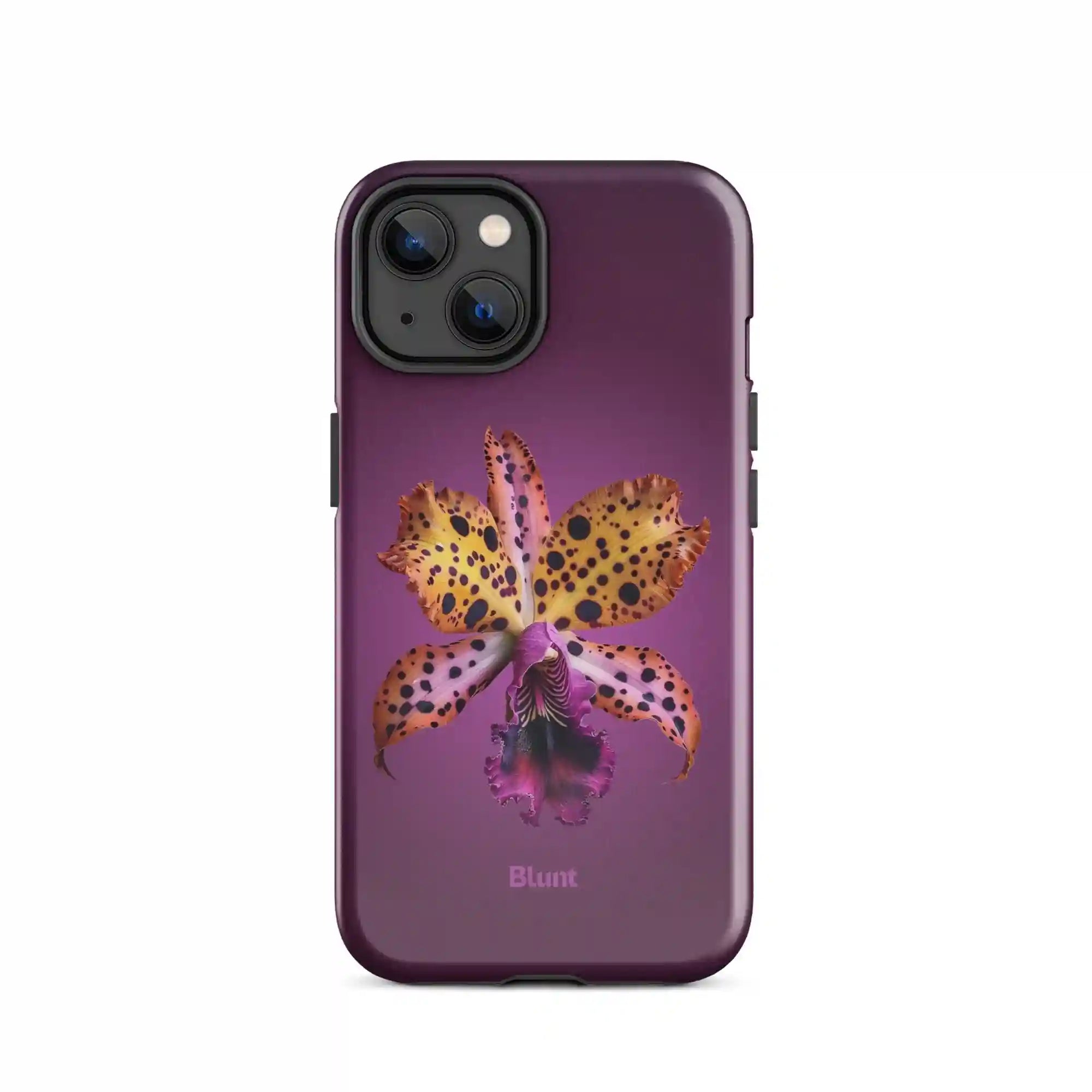 bluntcasesonline.com