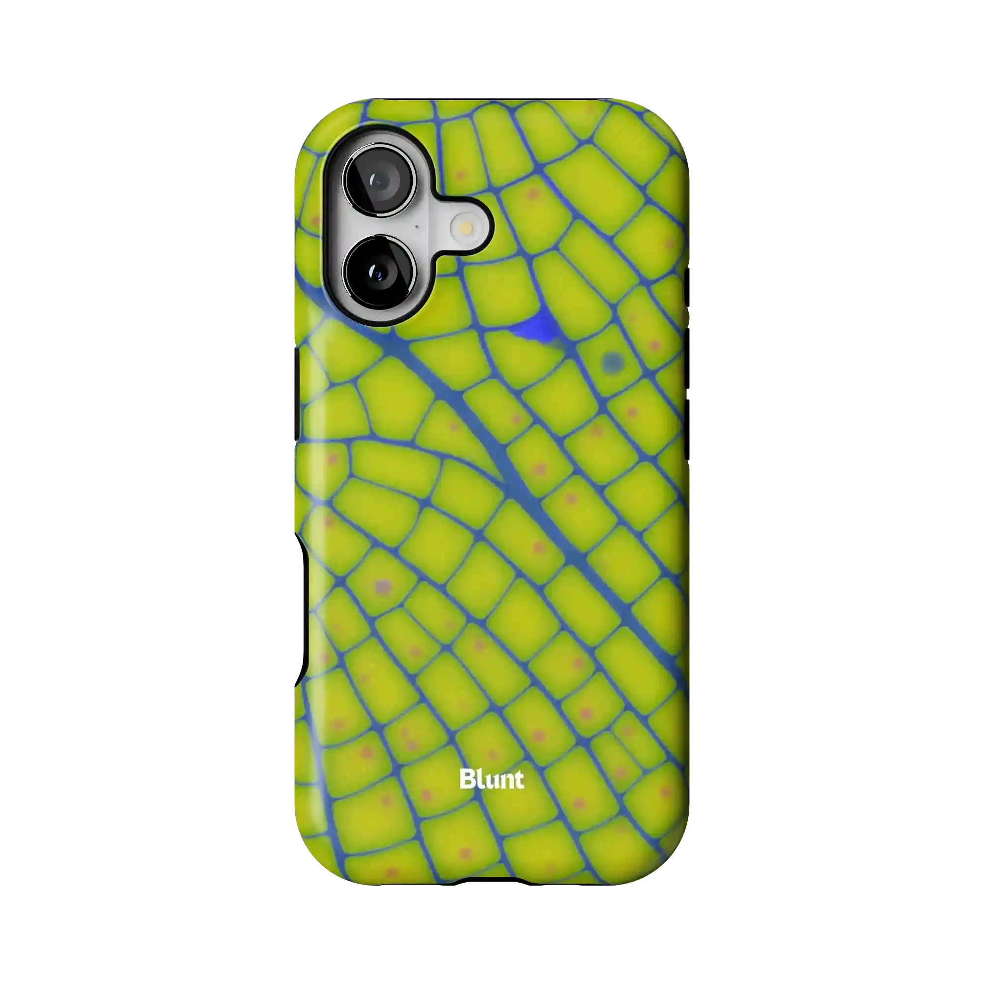 bluntcasesonline.com