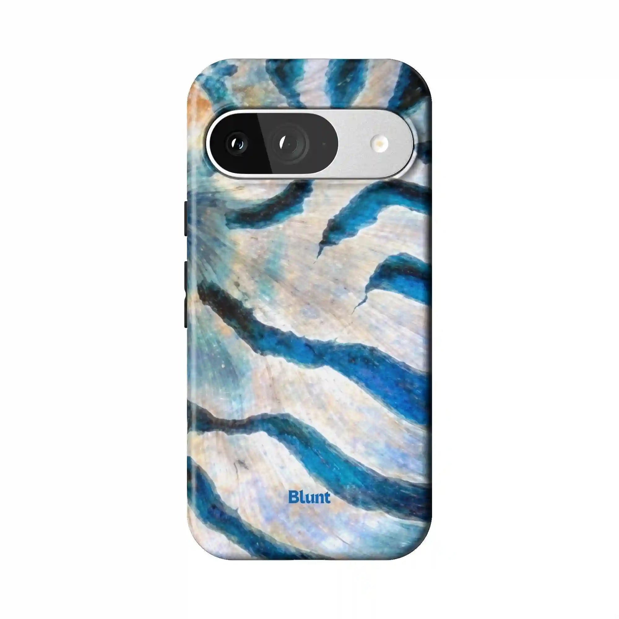 bluntcasesonline.com