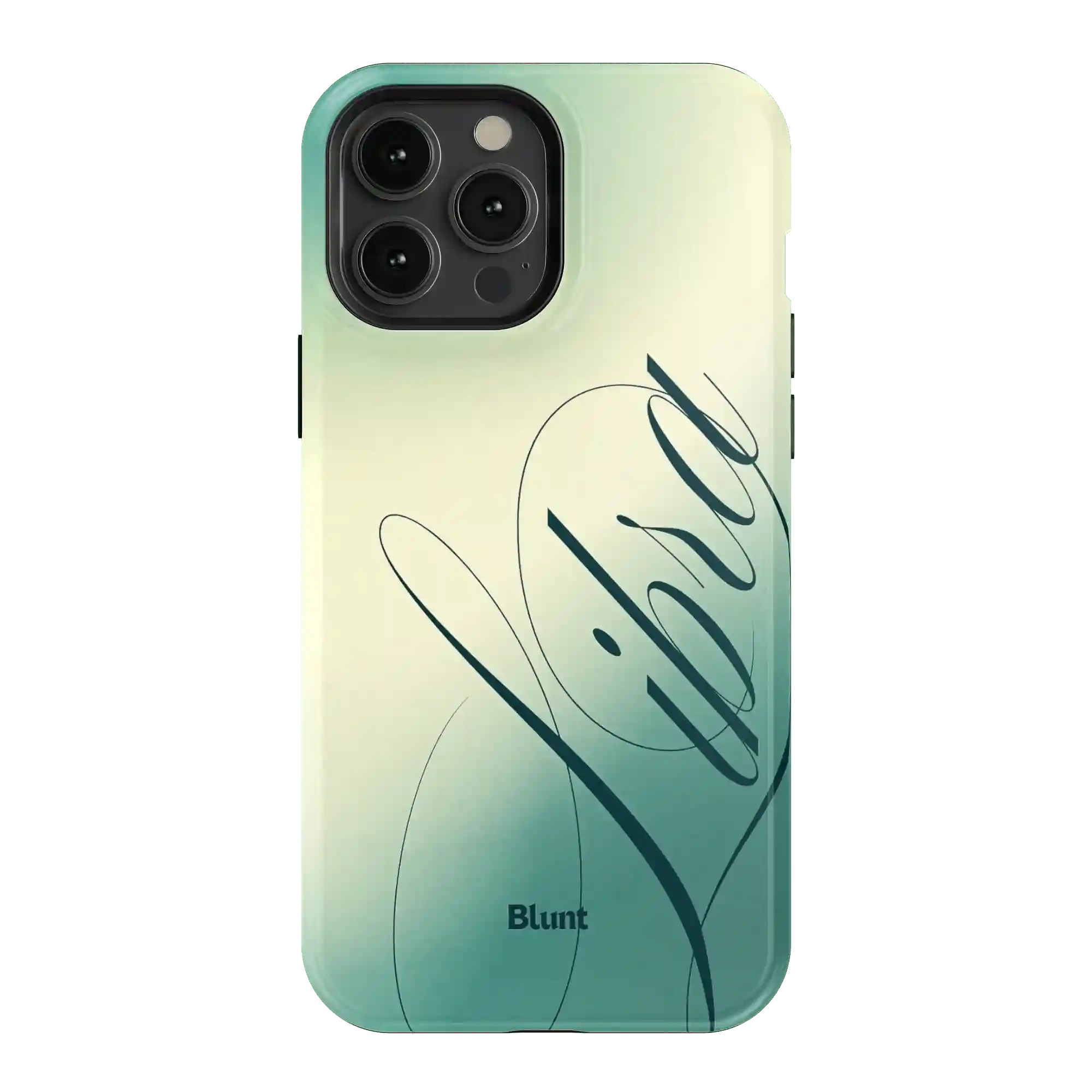 bluntcasesonline.com