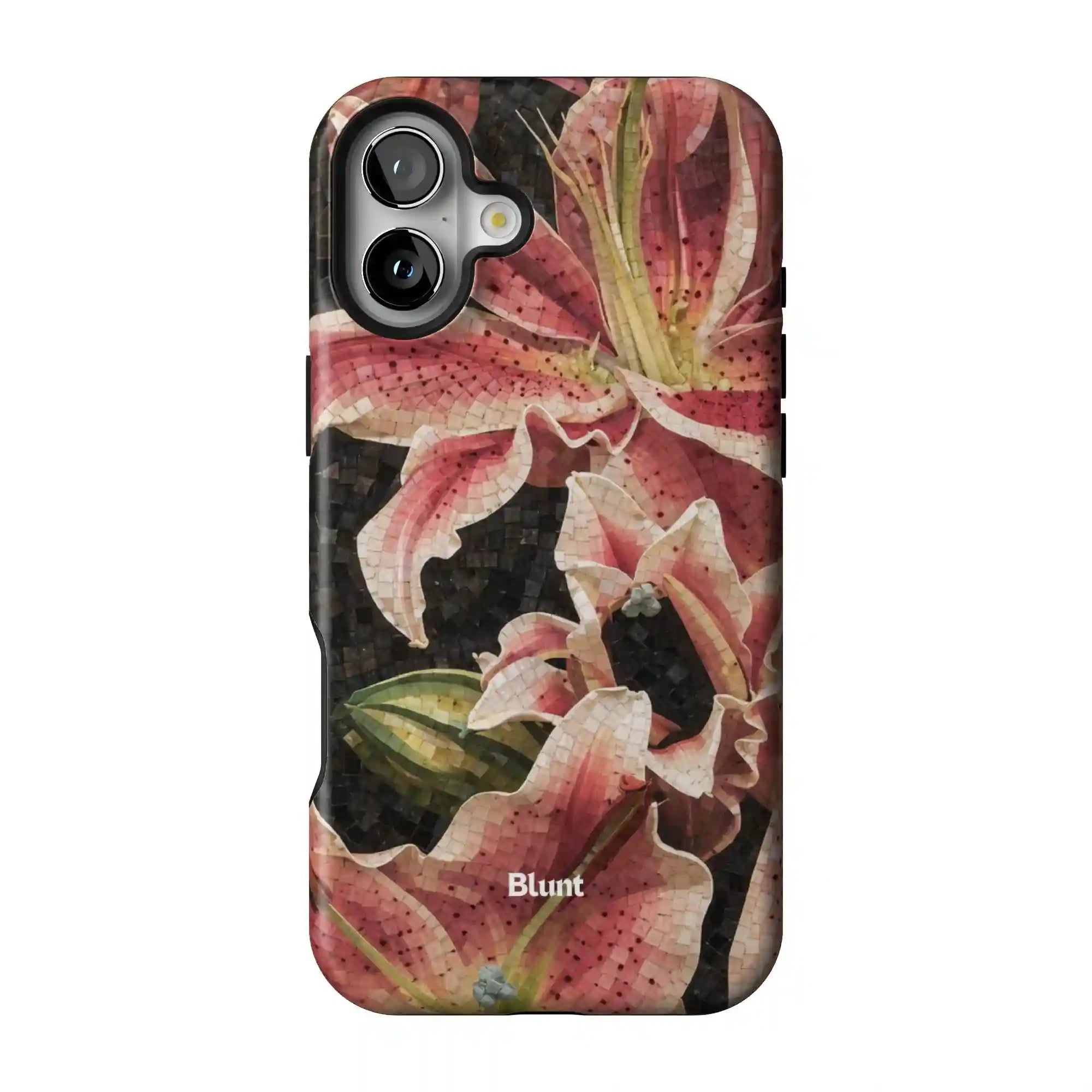 bluntcasesonline.com