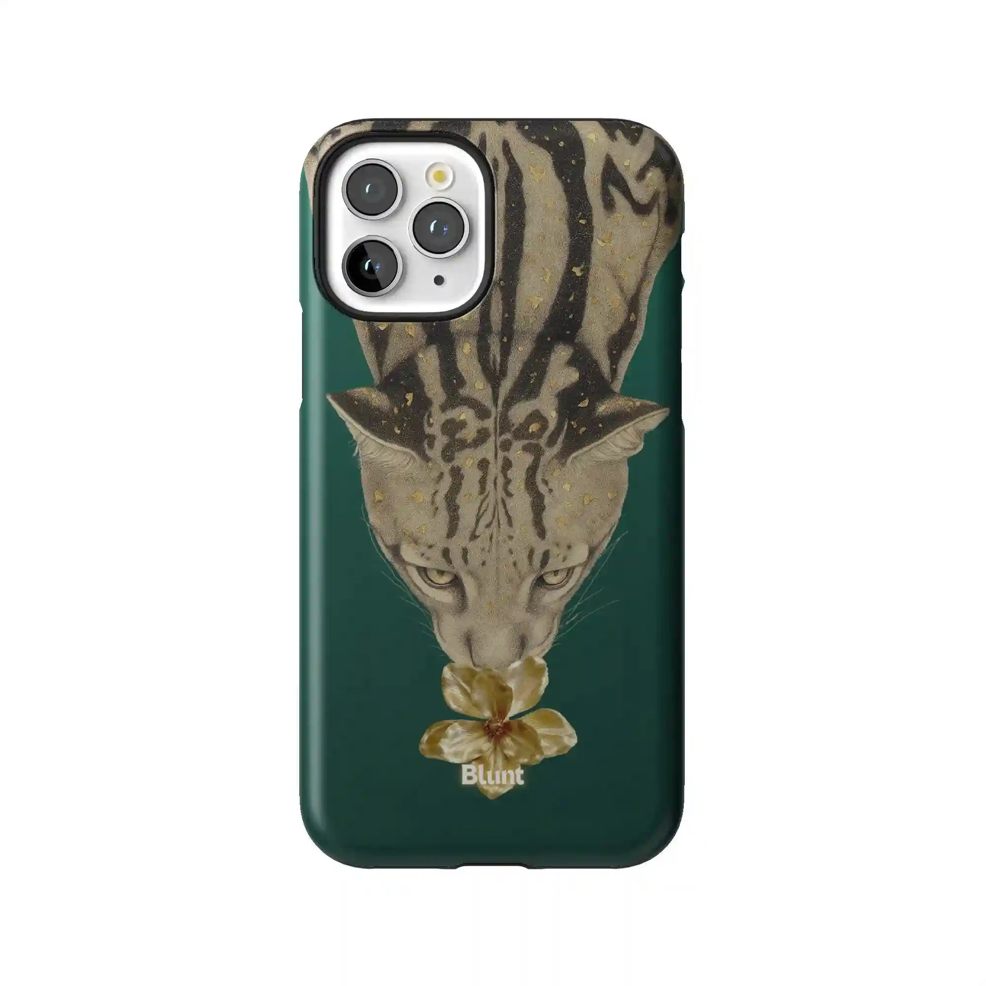 bluntcasesonline.com