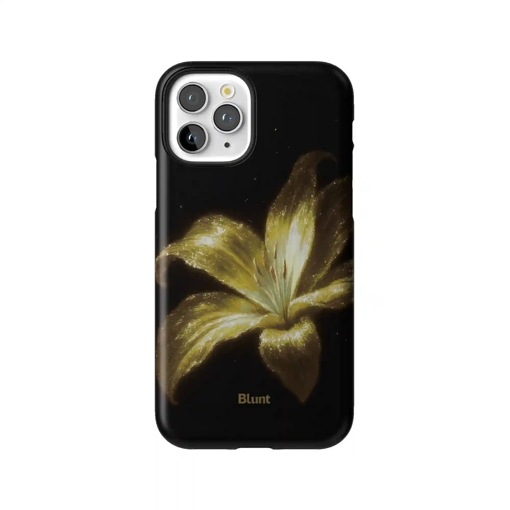 bluntcasesonline.com