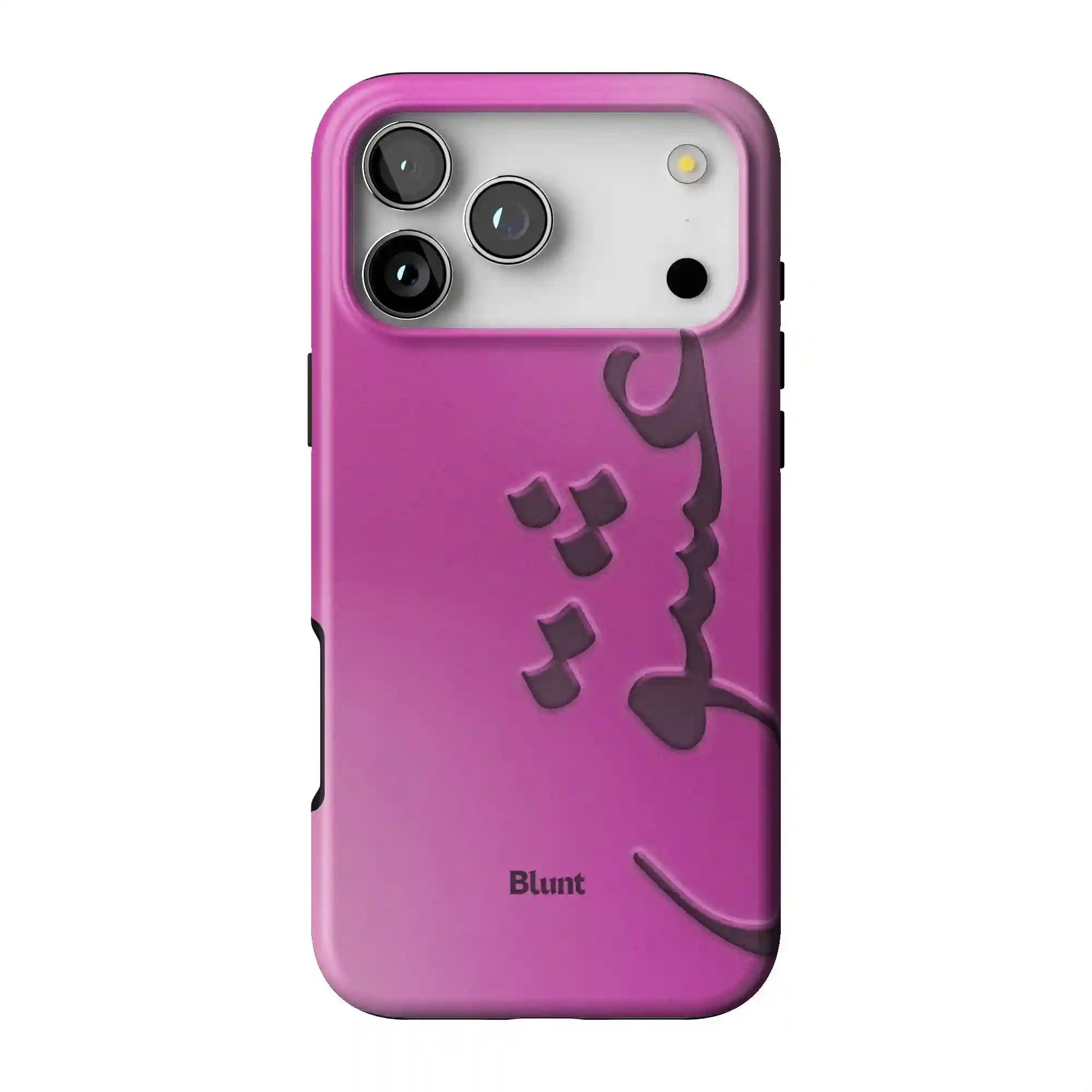 bluntcasesonline.com