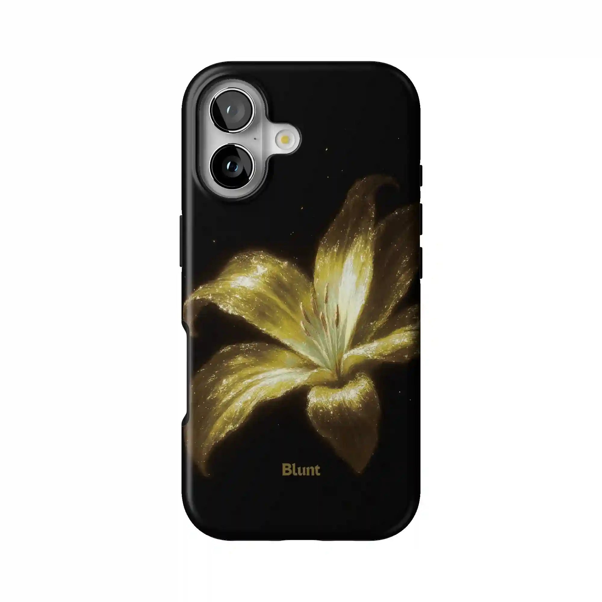 bluntcasesonline.com