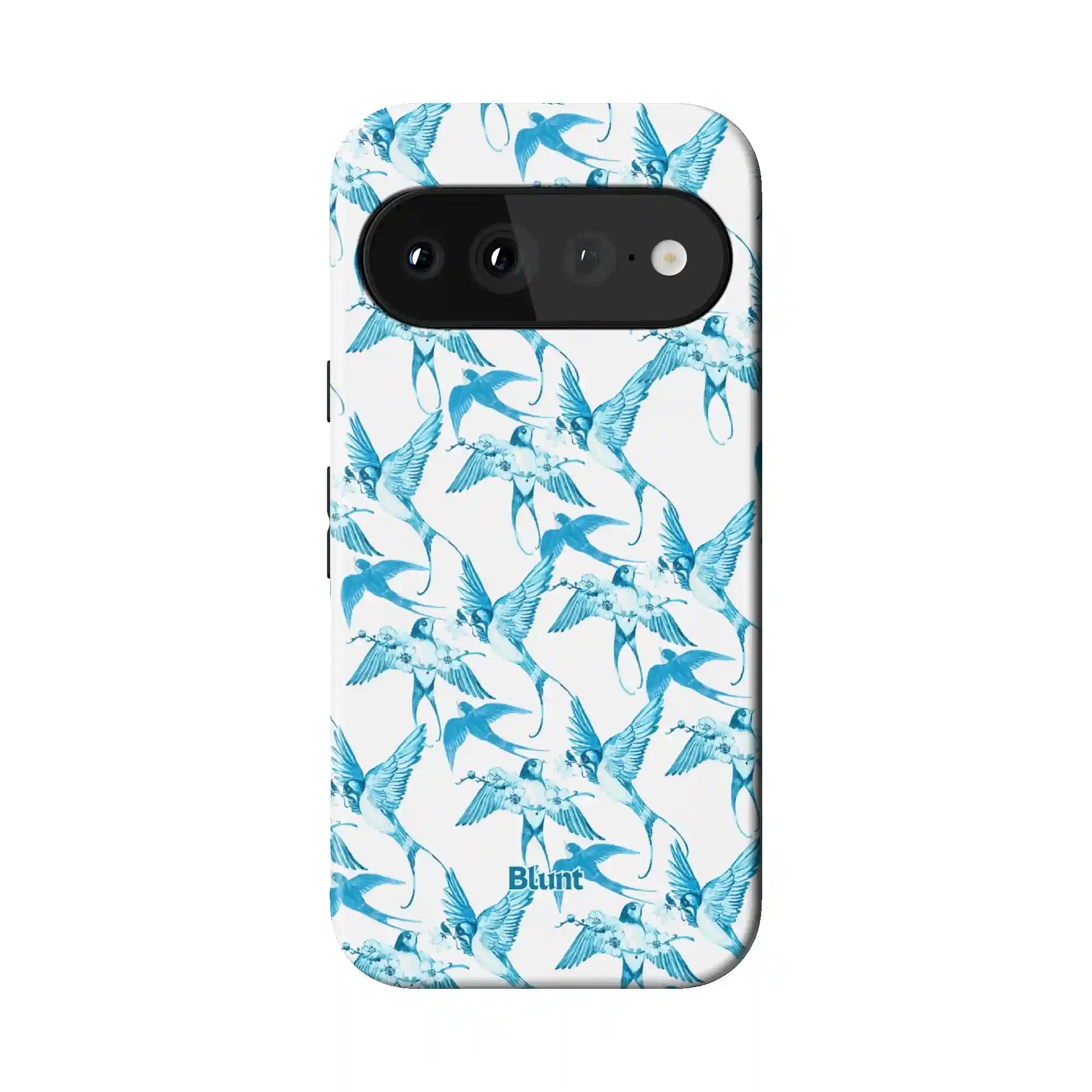 bluntcasesonline.com