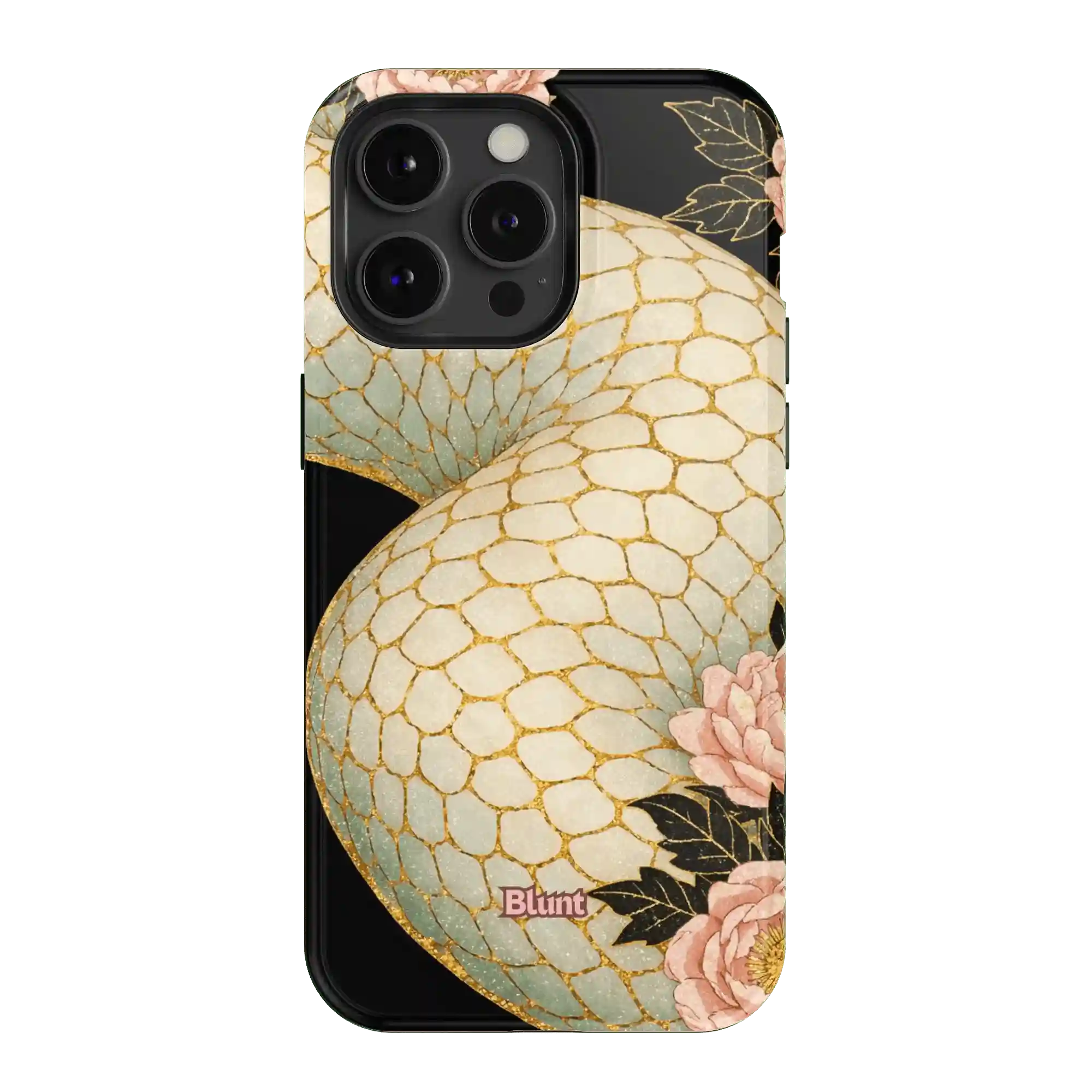 bluntcasesonline.com