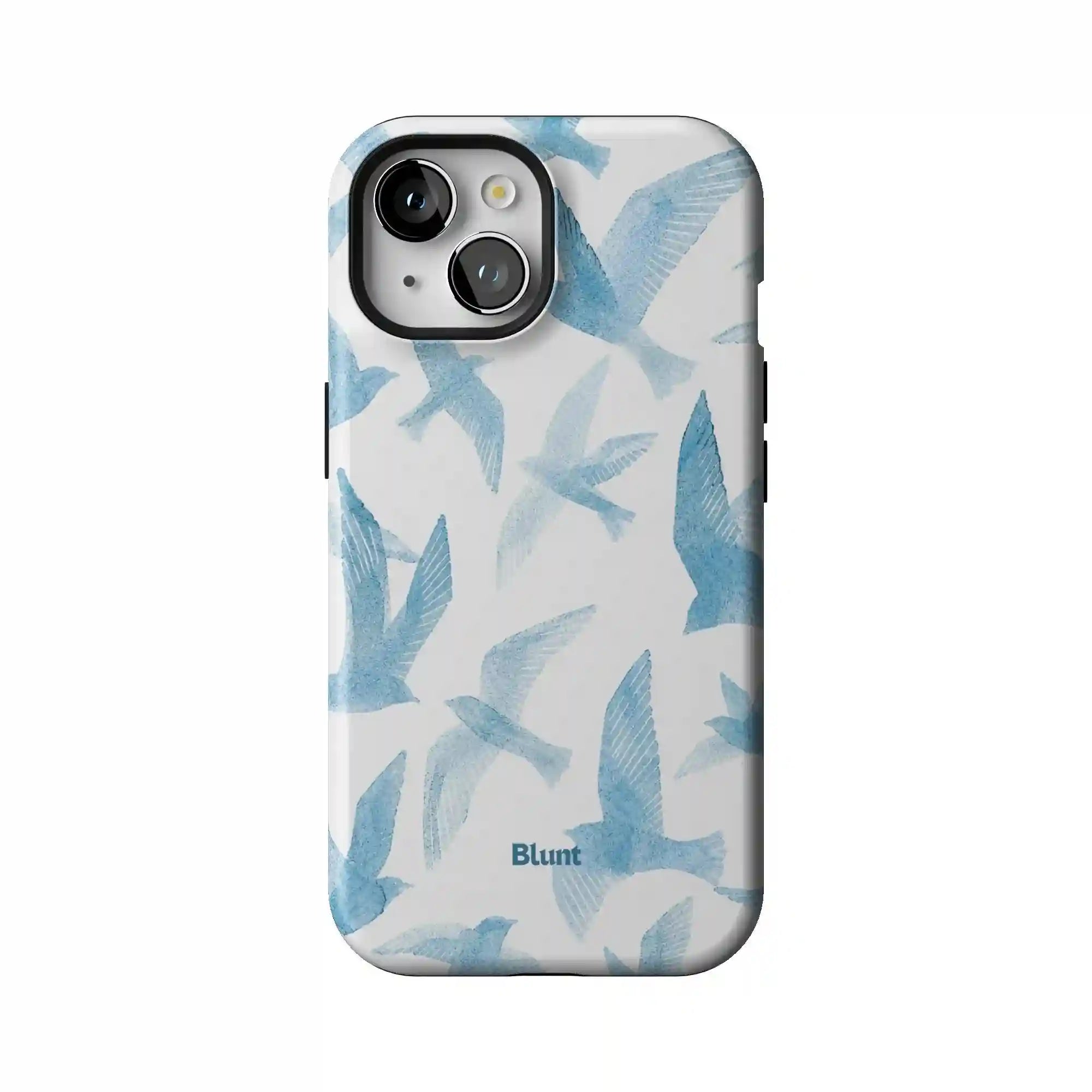 bluntcasesonline.com