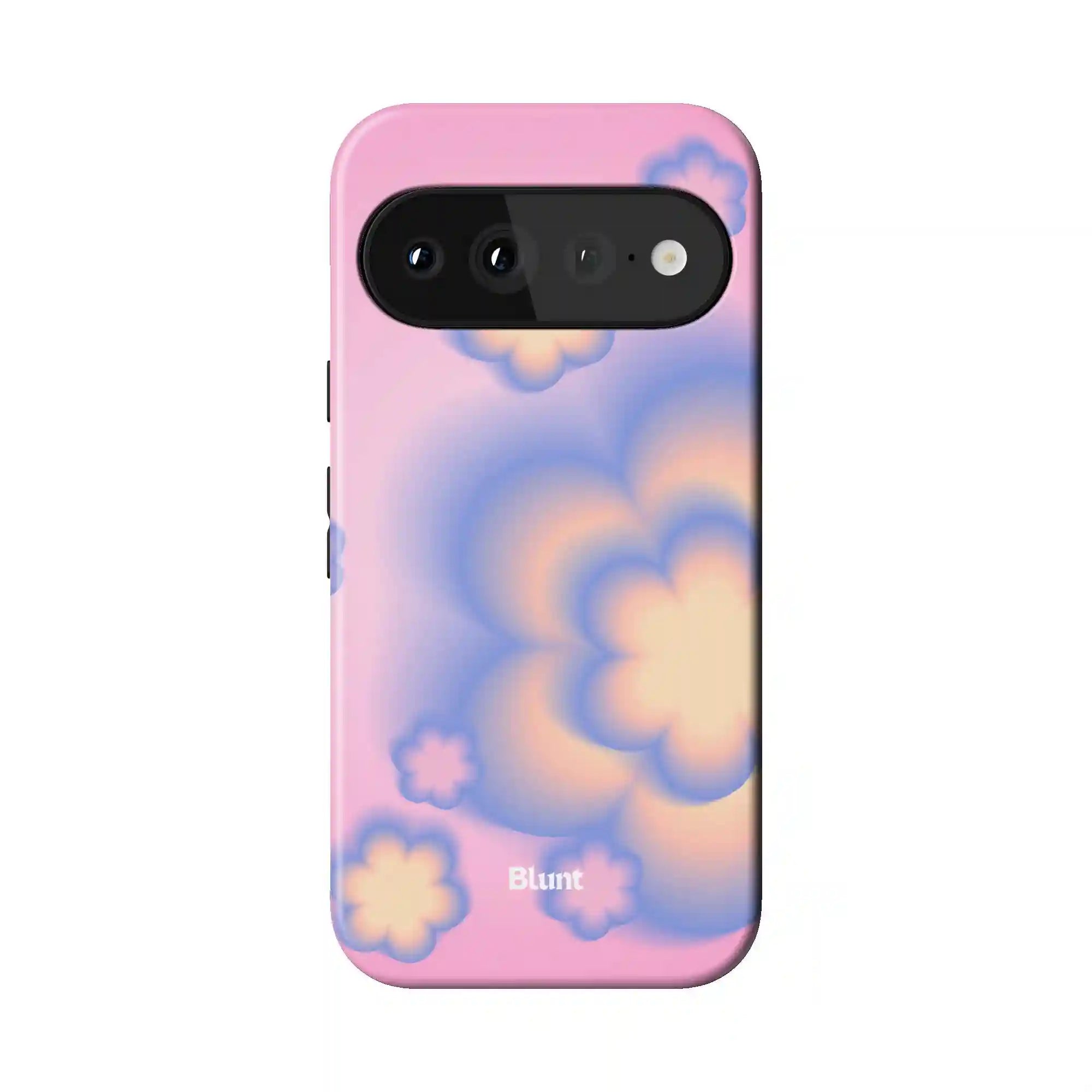 bluntcasesonline.com