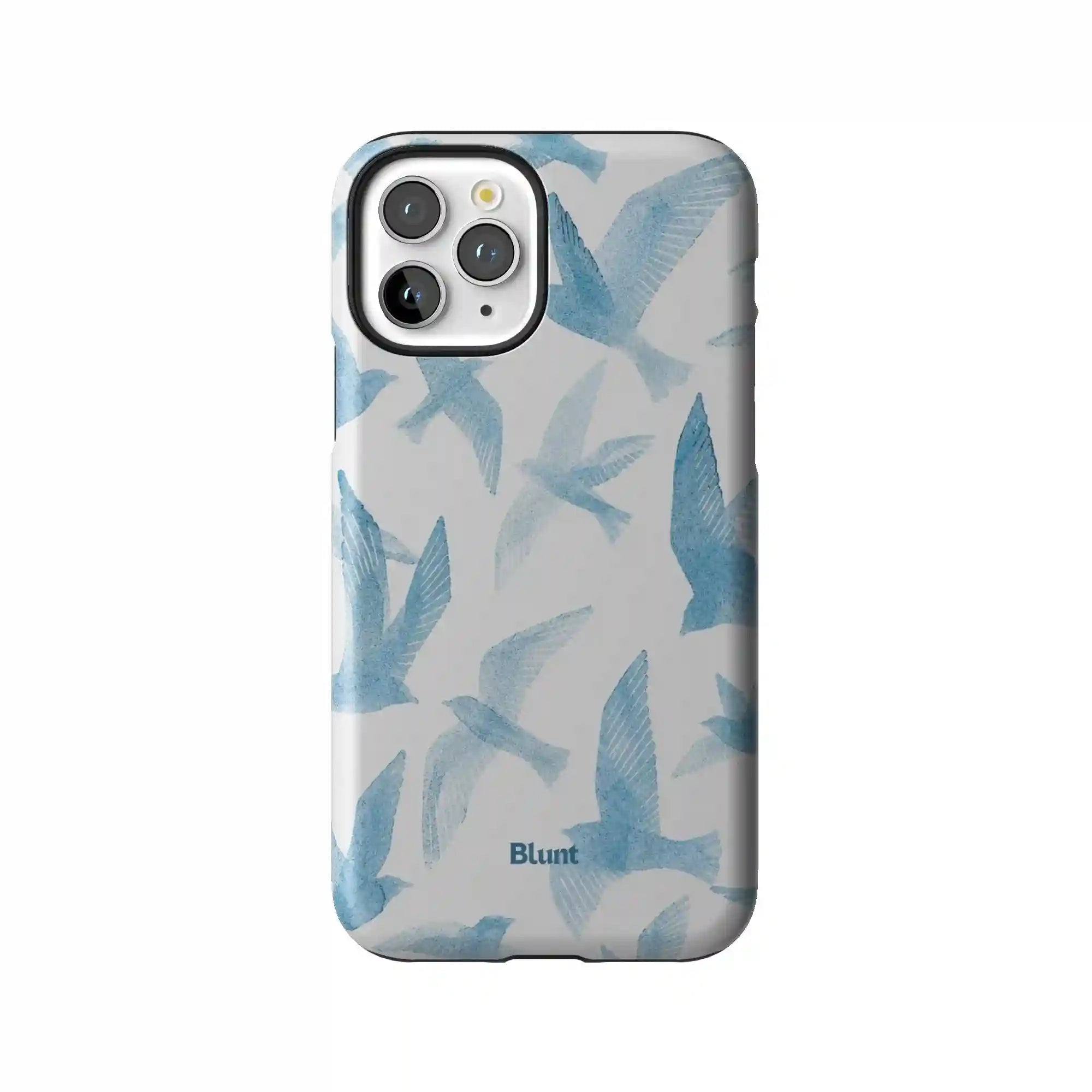 bluntcasesonline.com