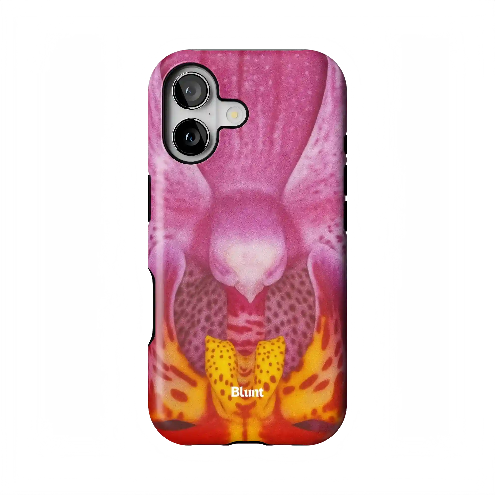 bluntcasesonline.com