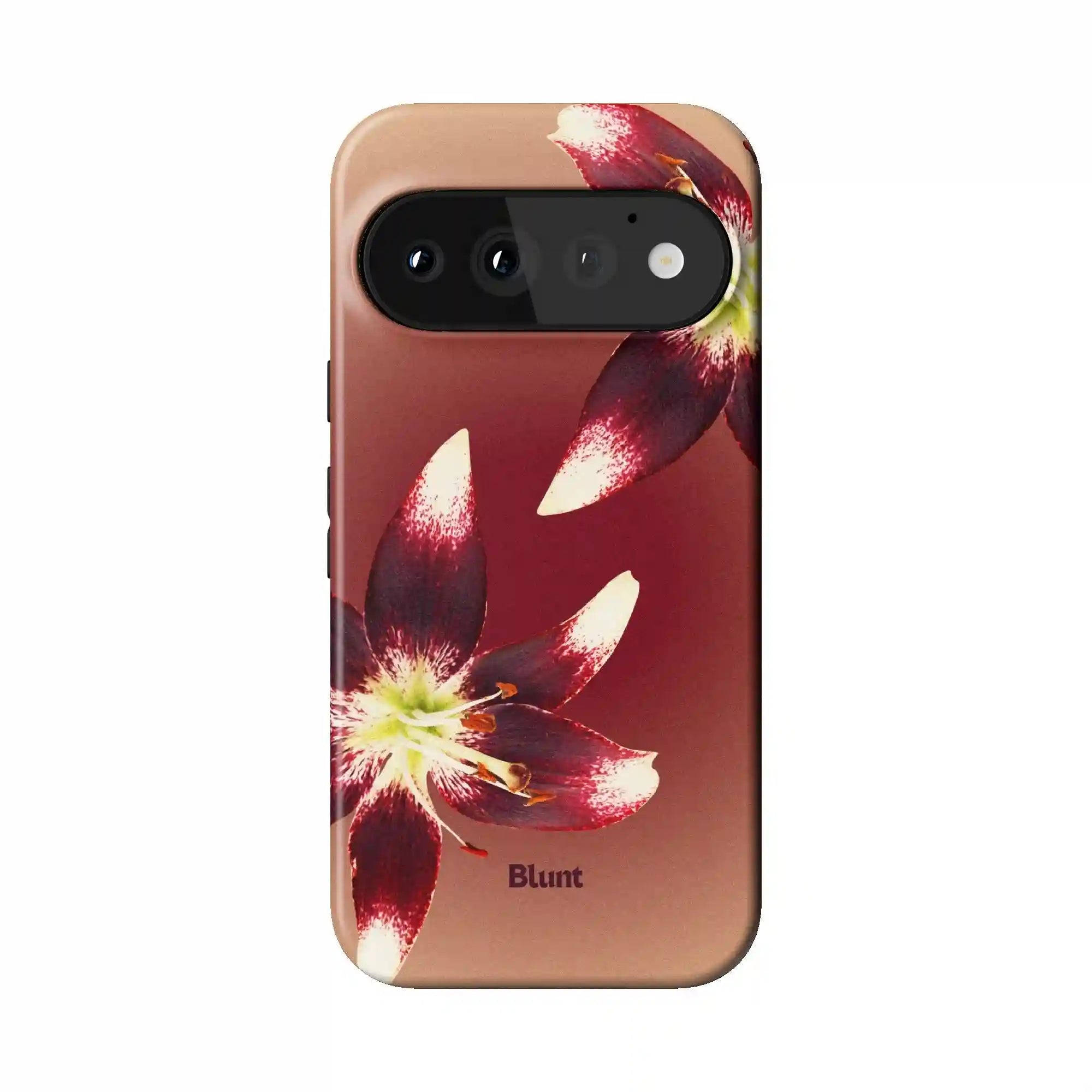 bluntcasesonline.com