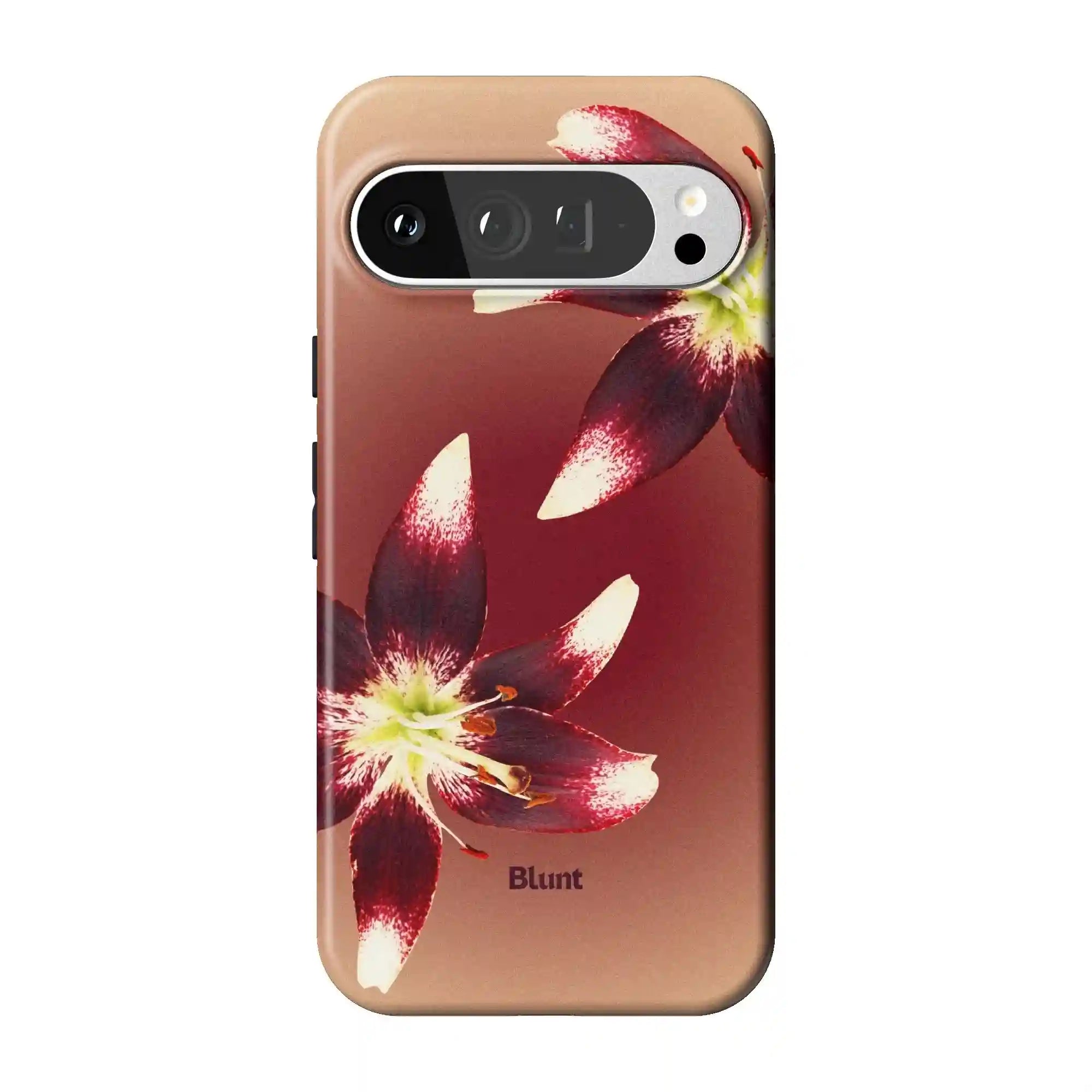 bluntcasesonline.com