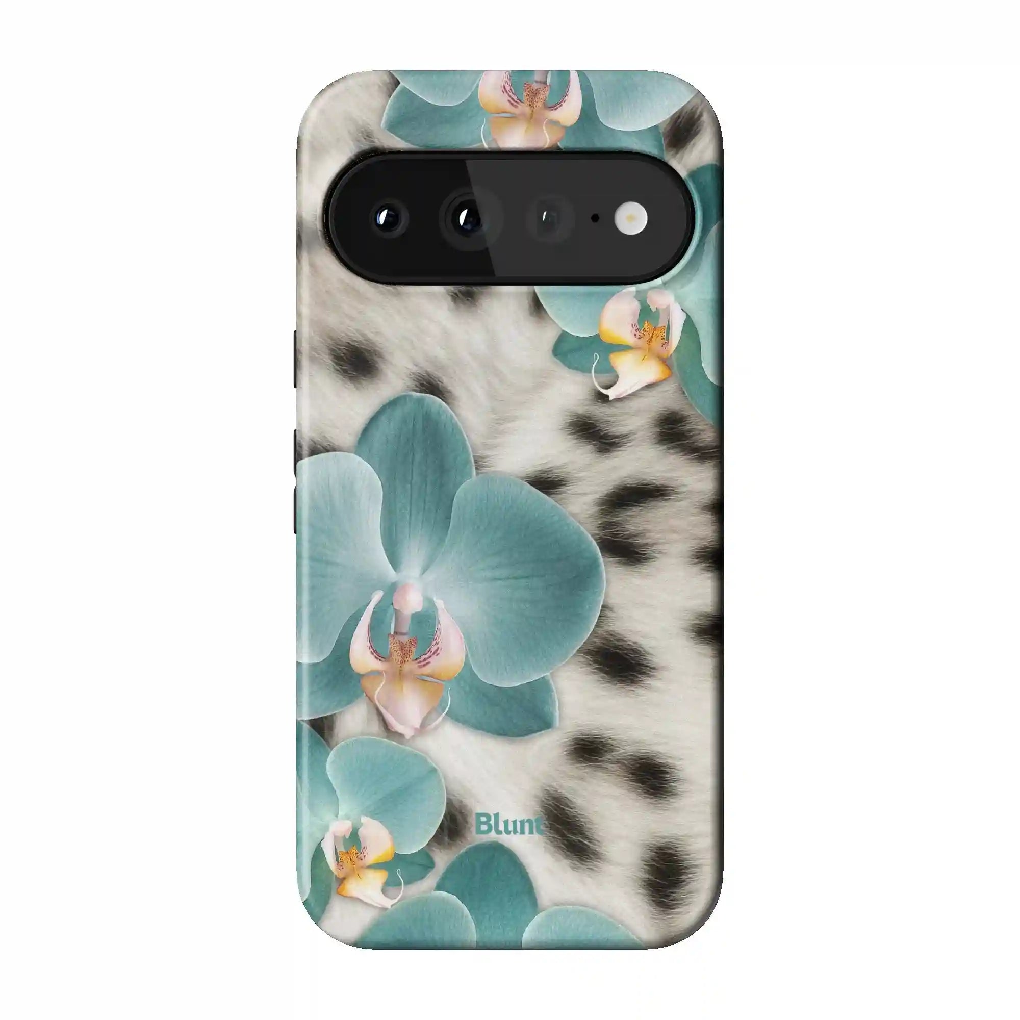 bluntcasesonline.com