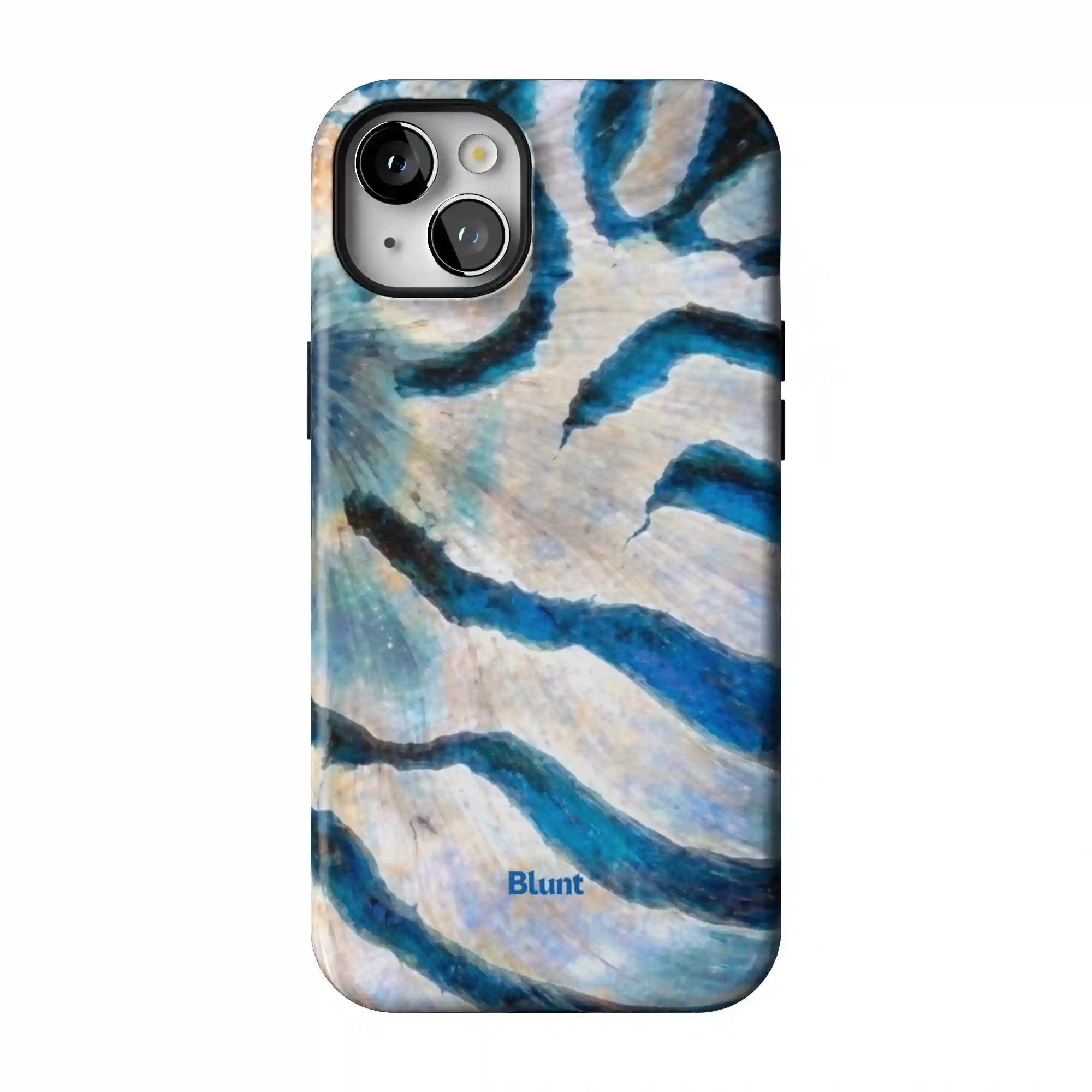 bluntcasesonline.com