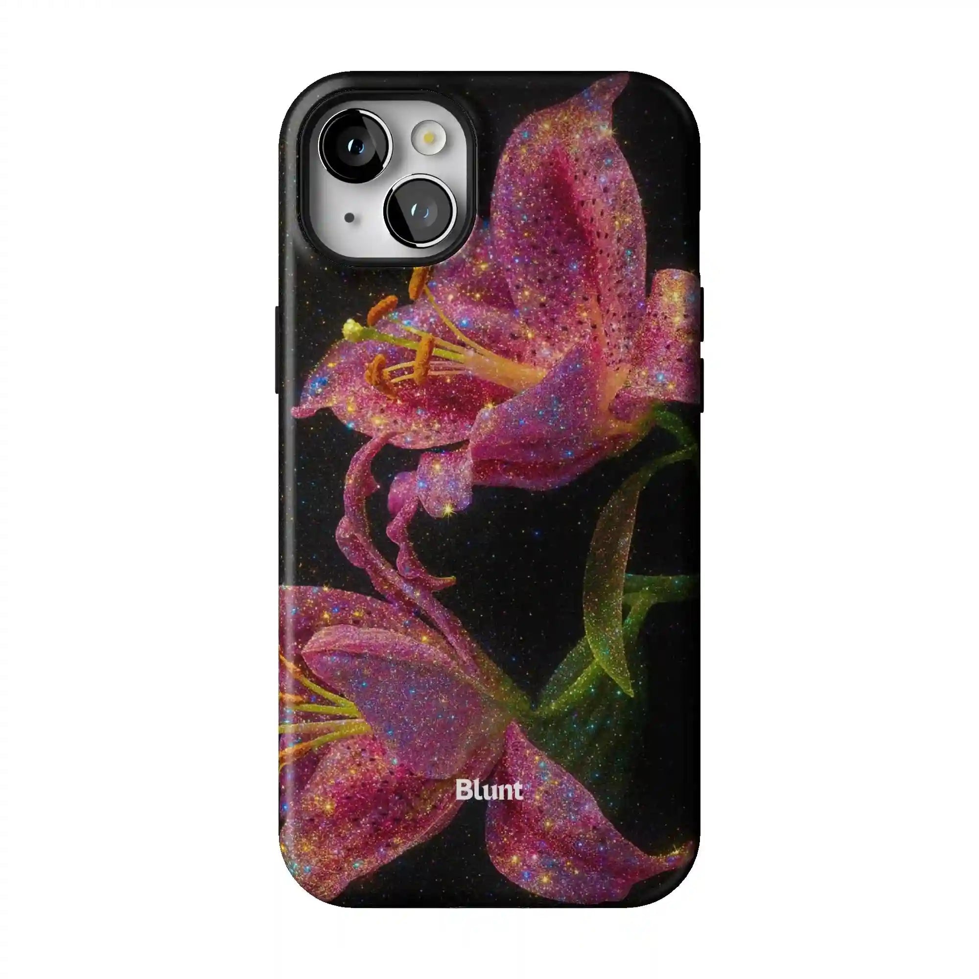 bluntcasesonline.com