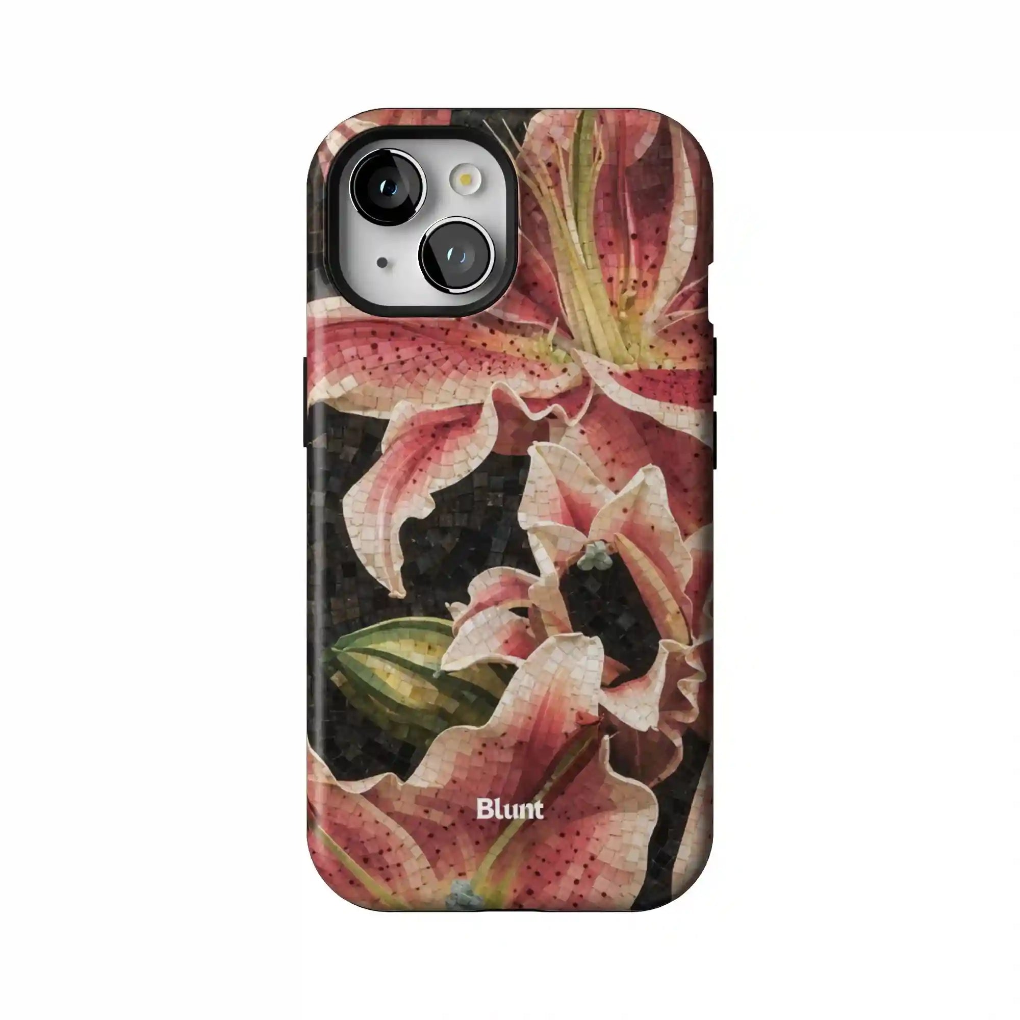 bluntcasesonline.com