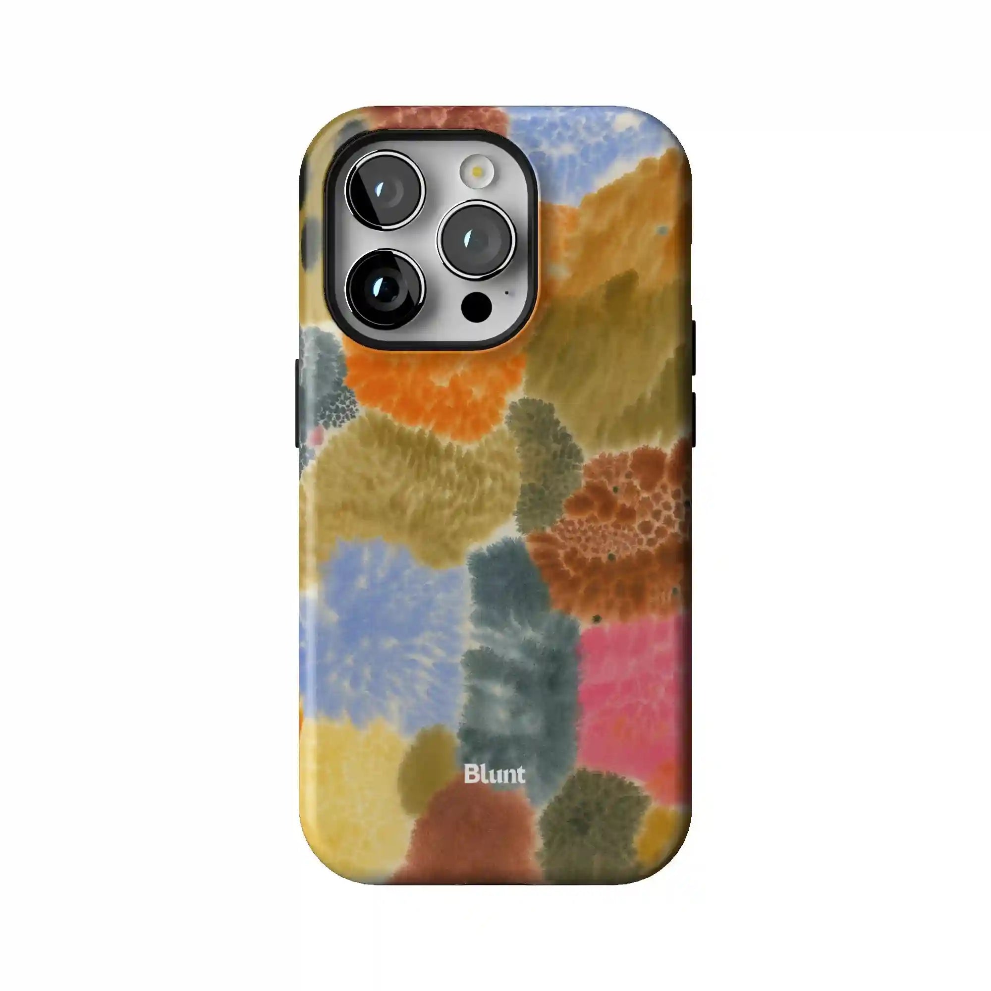 bluntcasesonline.com