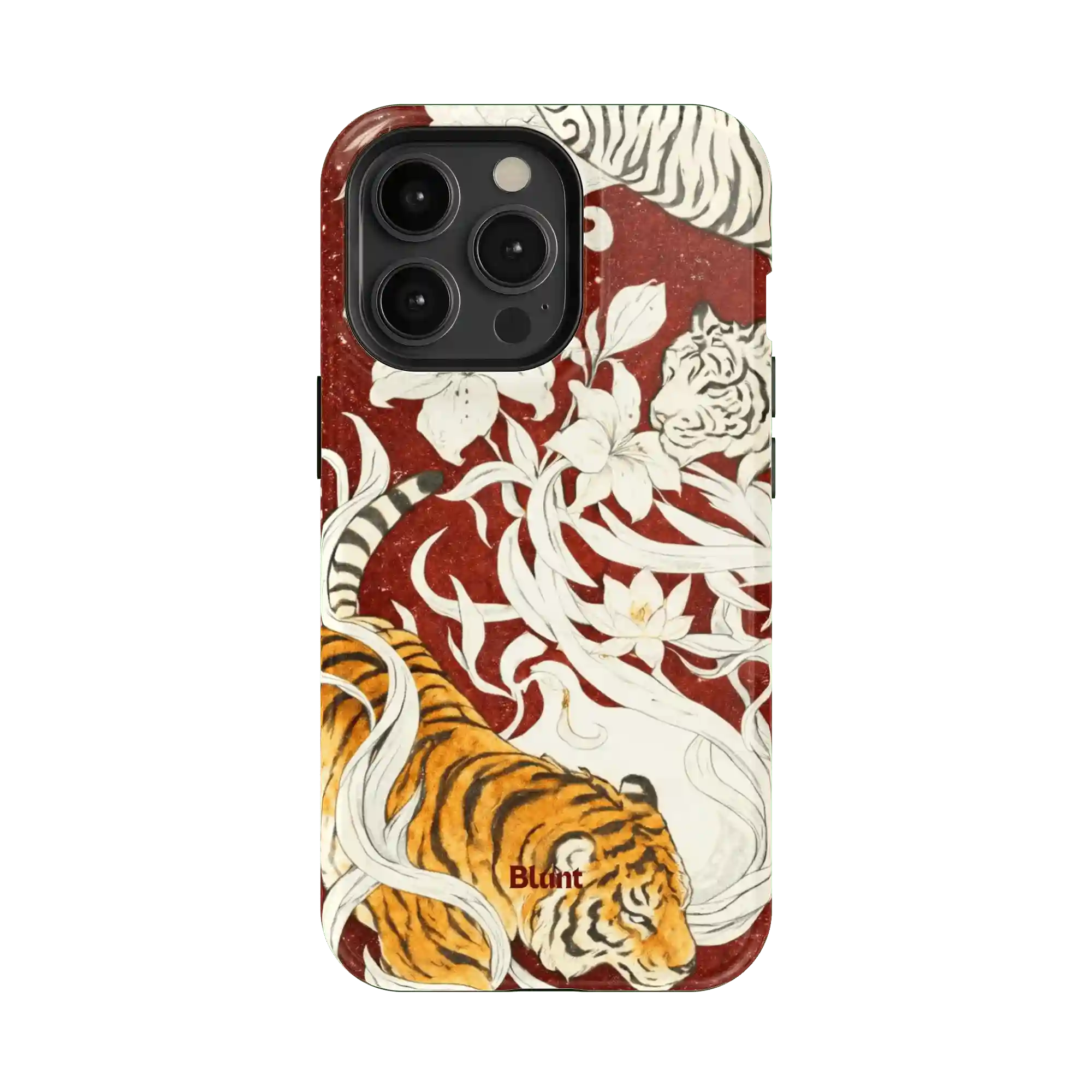 bluntcasesonline.com