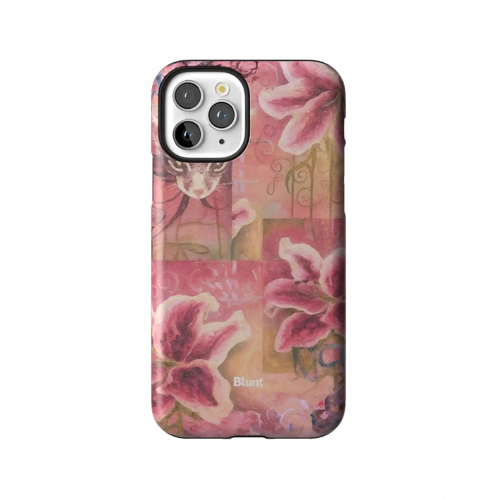 bluntcasesonline.com