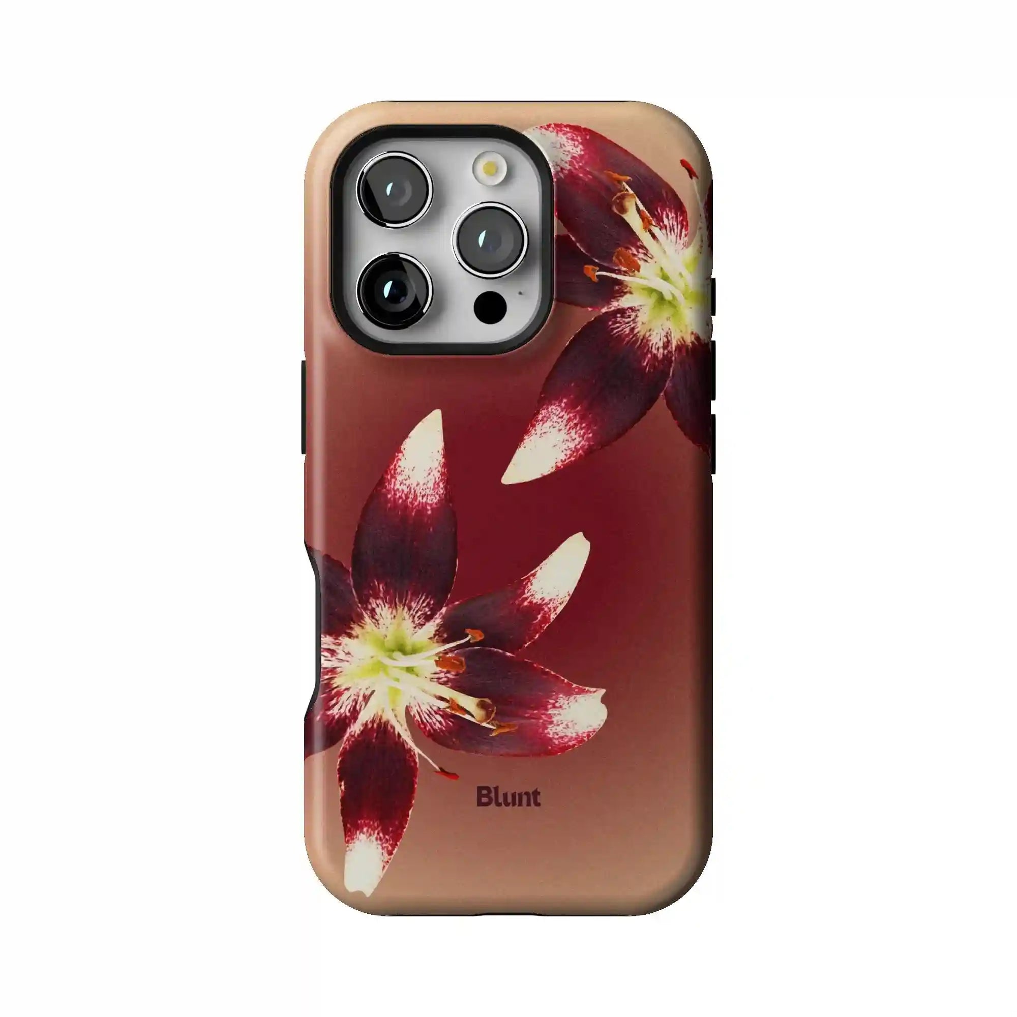 bluntcasesonline.com