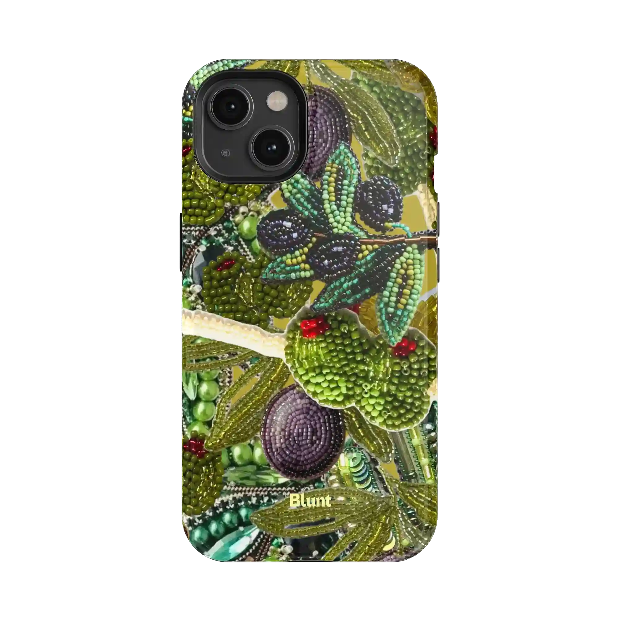 bluntcasesonline.com