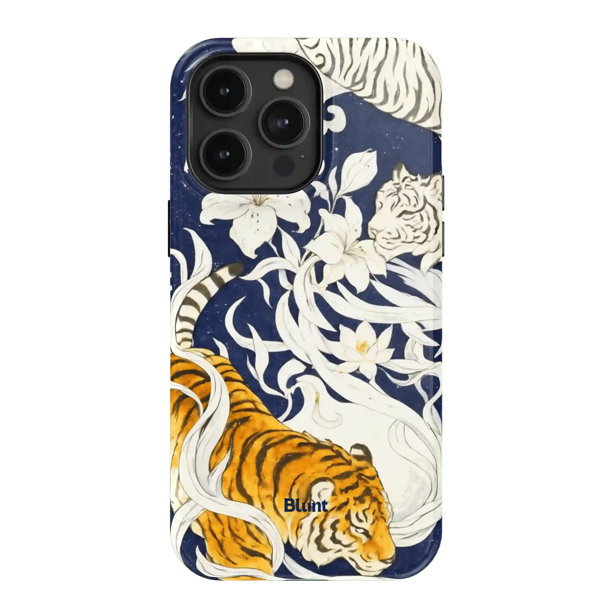 bluntcasesonline.com
