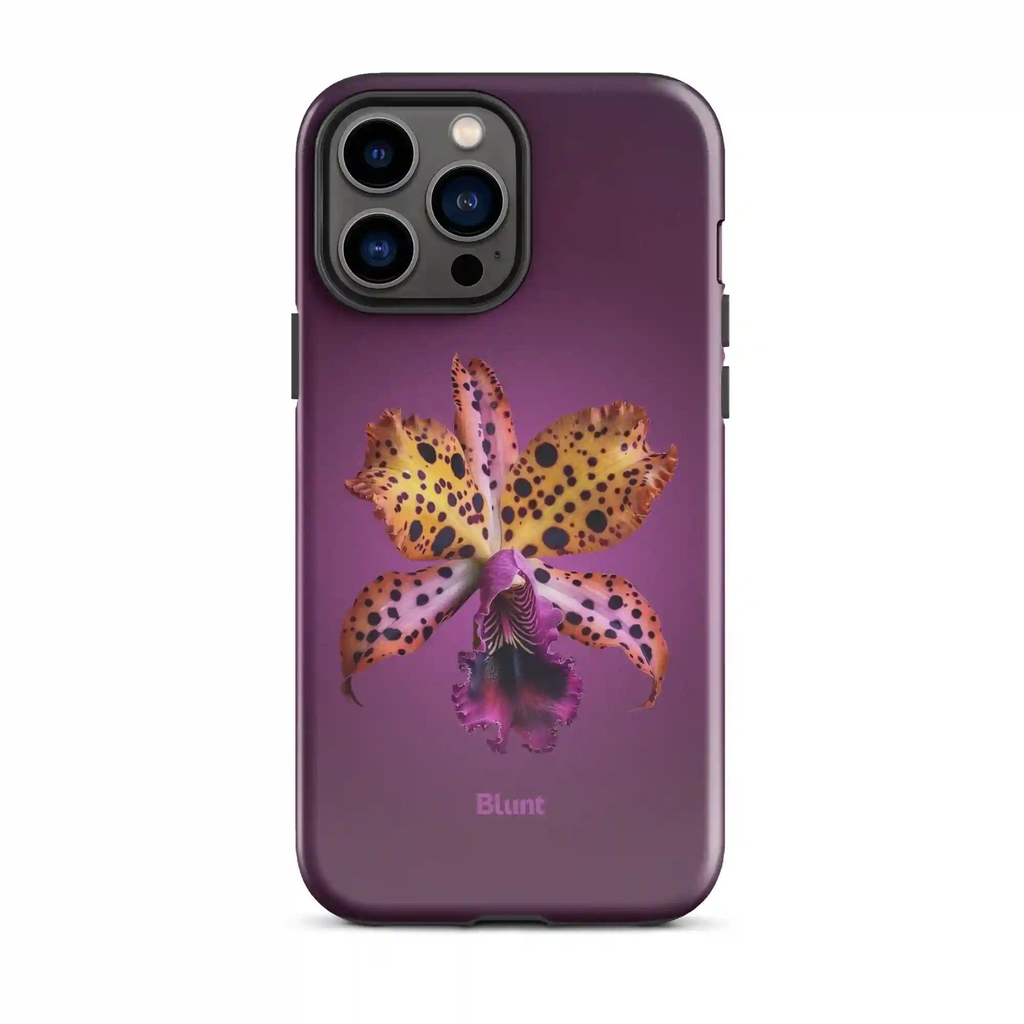 bluntcasesonline.com