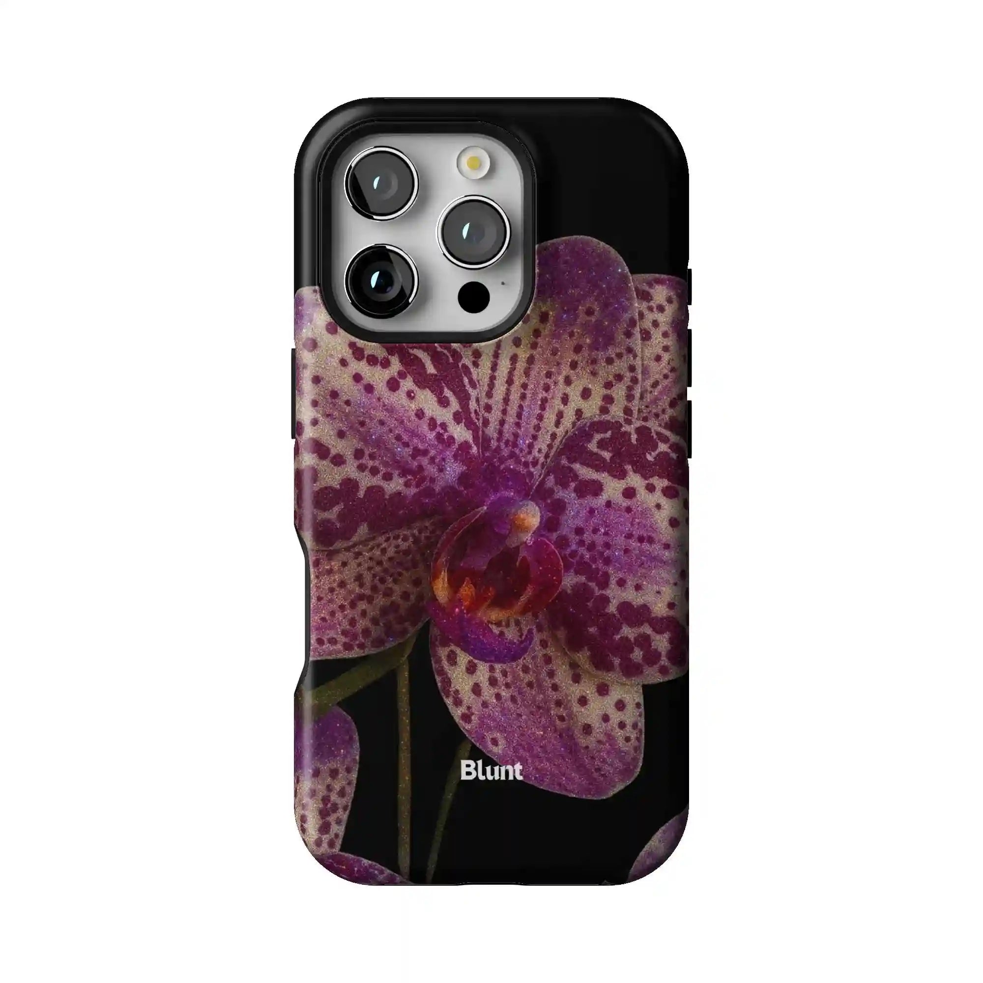 bluntcasesonline.com