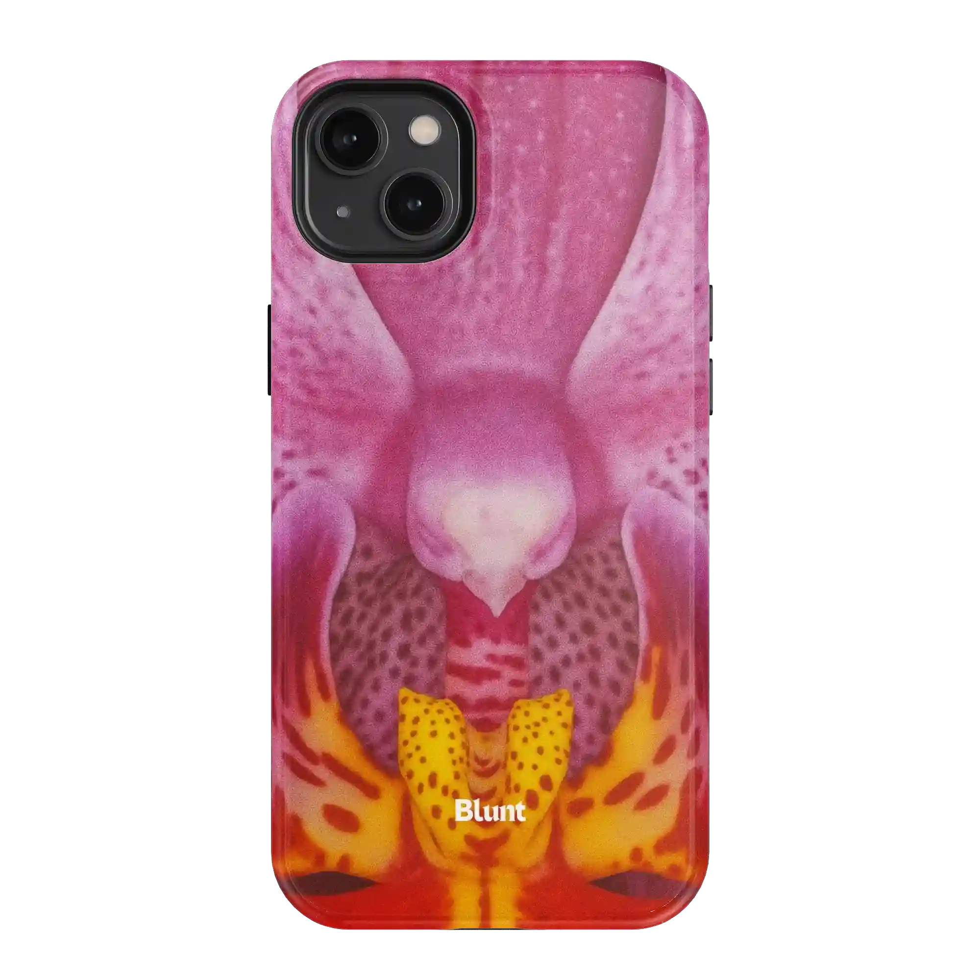 bluntcasesonline.com