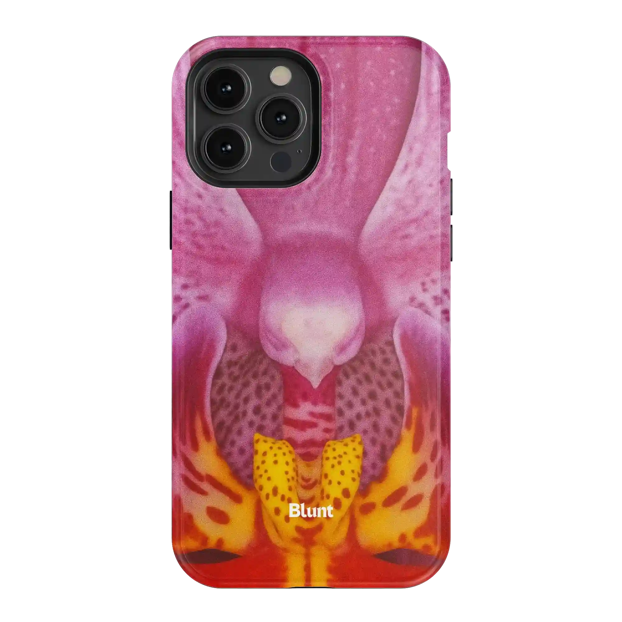 bluntcasesonline.com