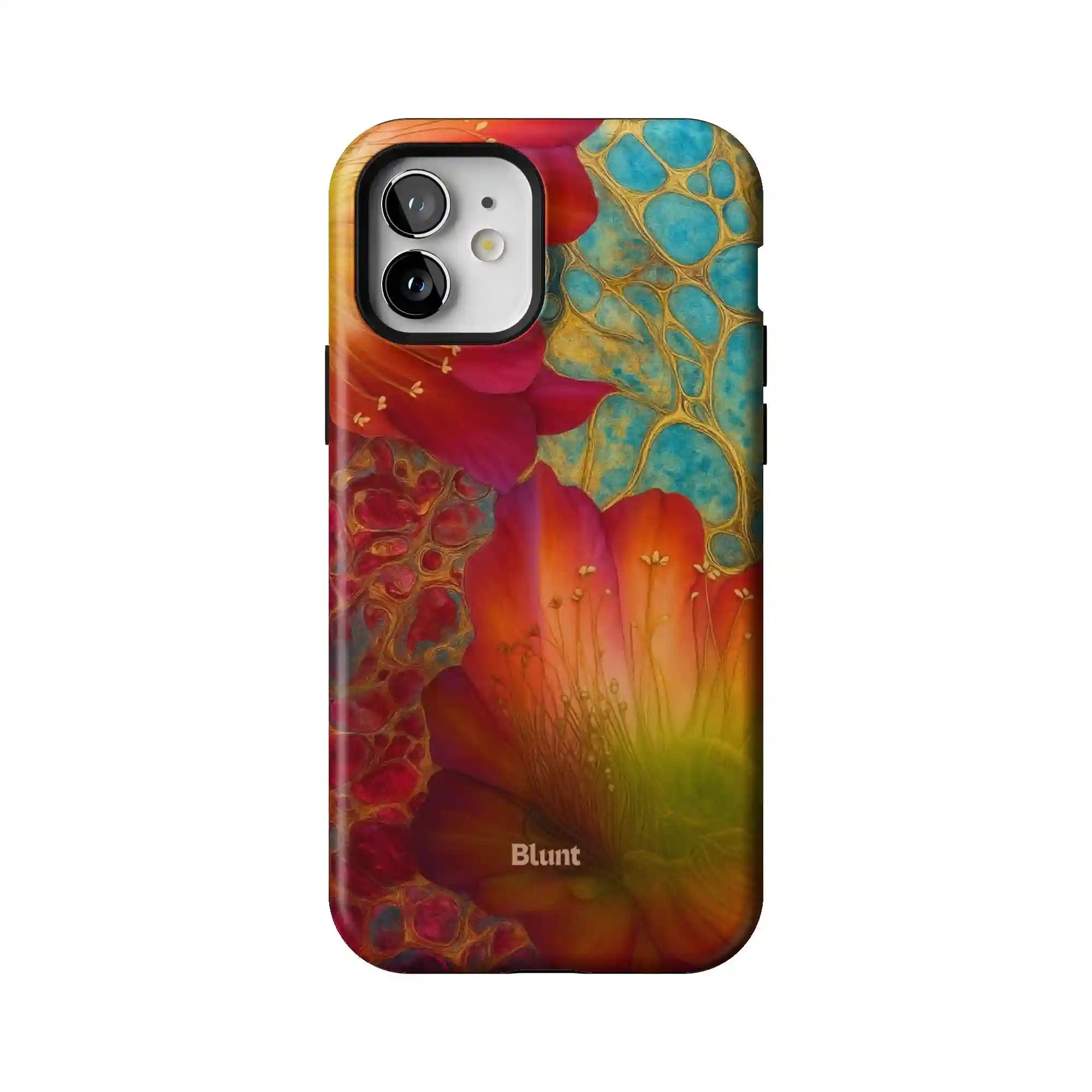 bluntcasesonline.com