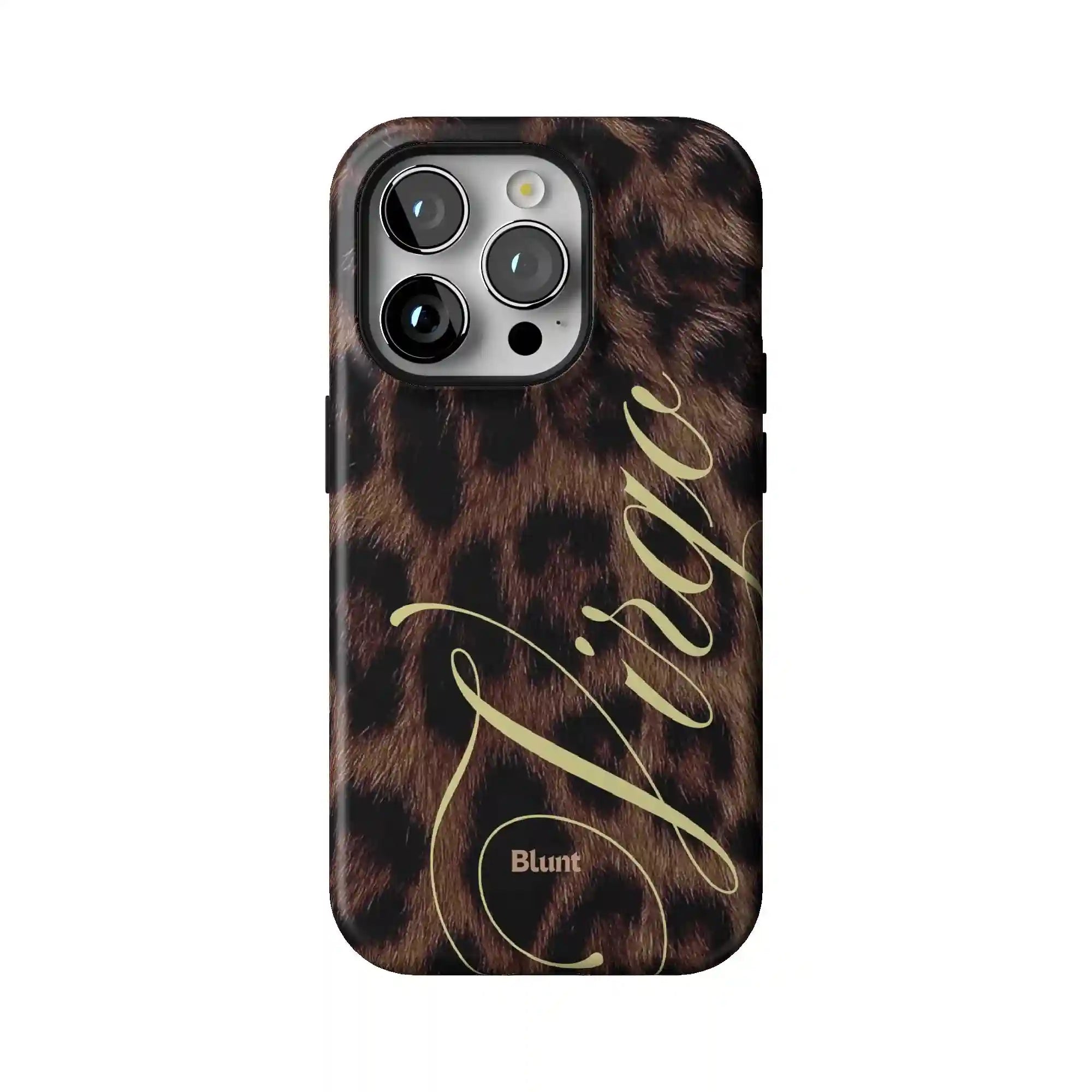 bluntcasesonline.com