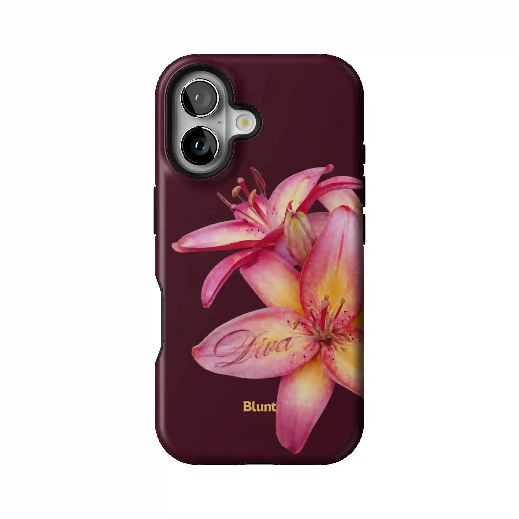 bluntcasesonline.com