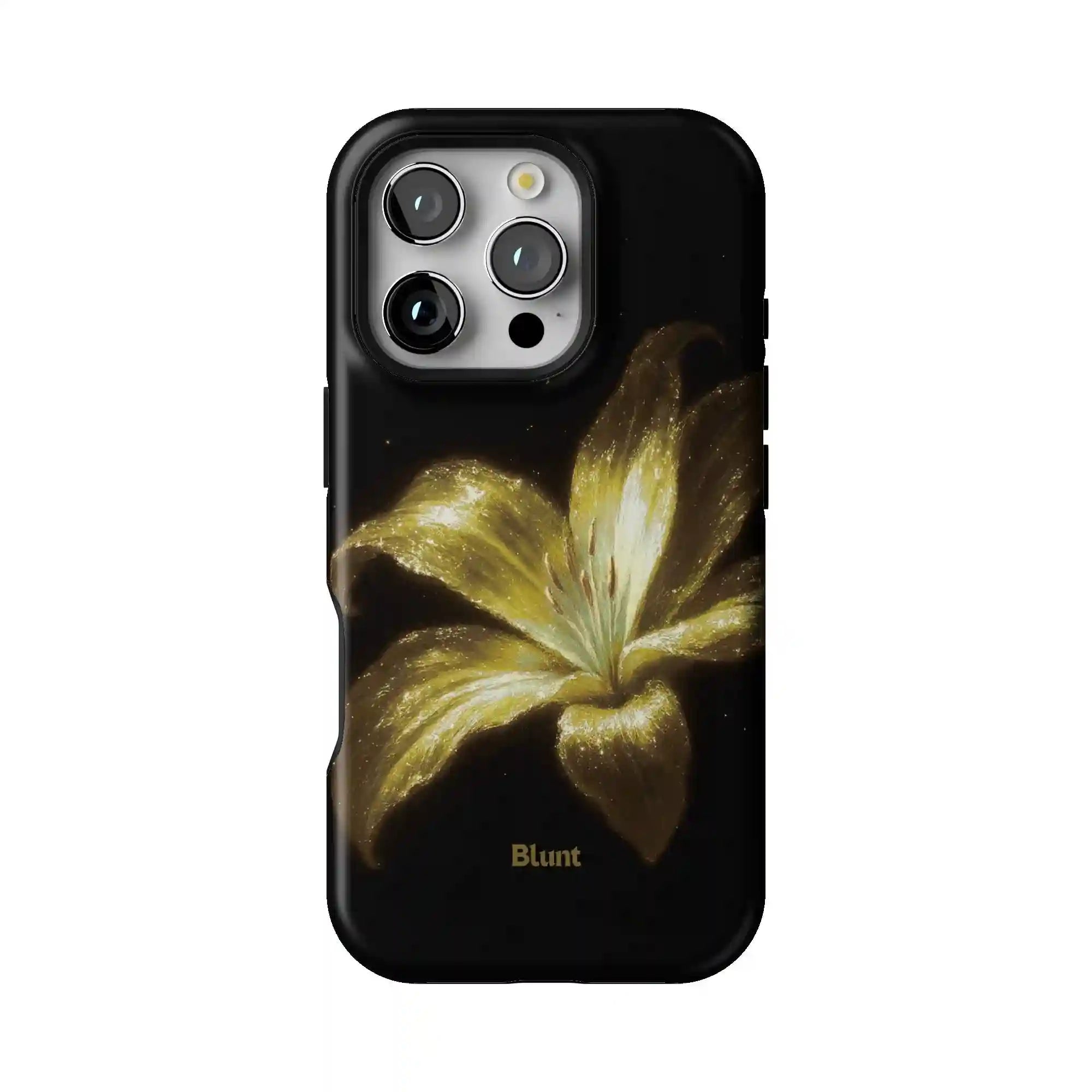 bluntcasesonline.com