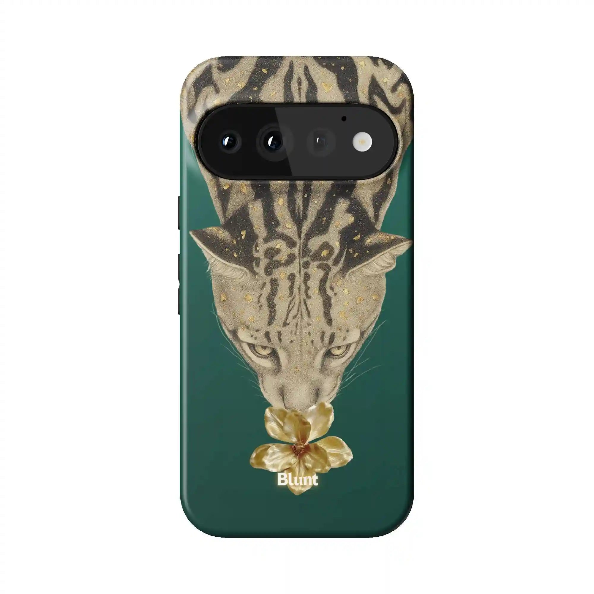 bluntcasesonline.com