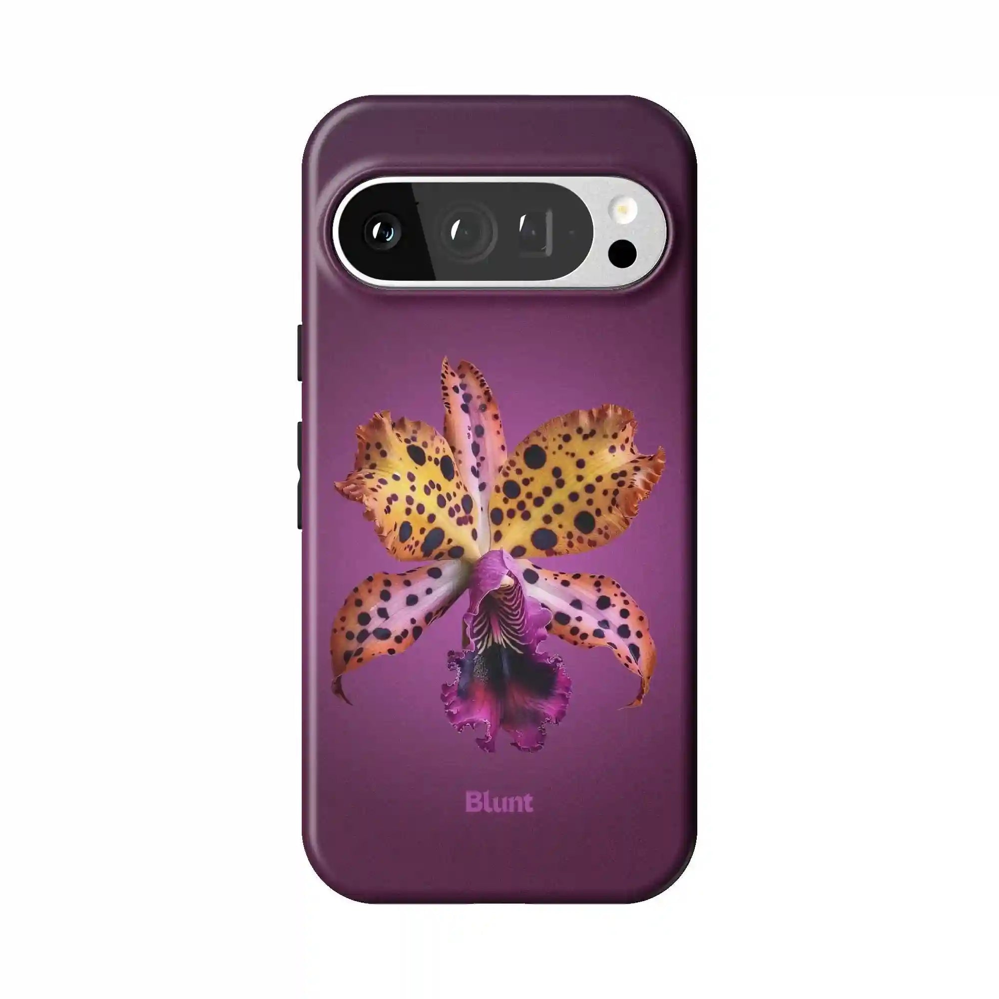 bluntcasesonline.com